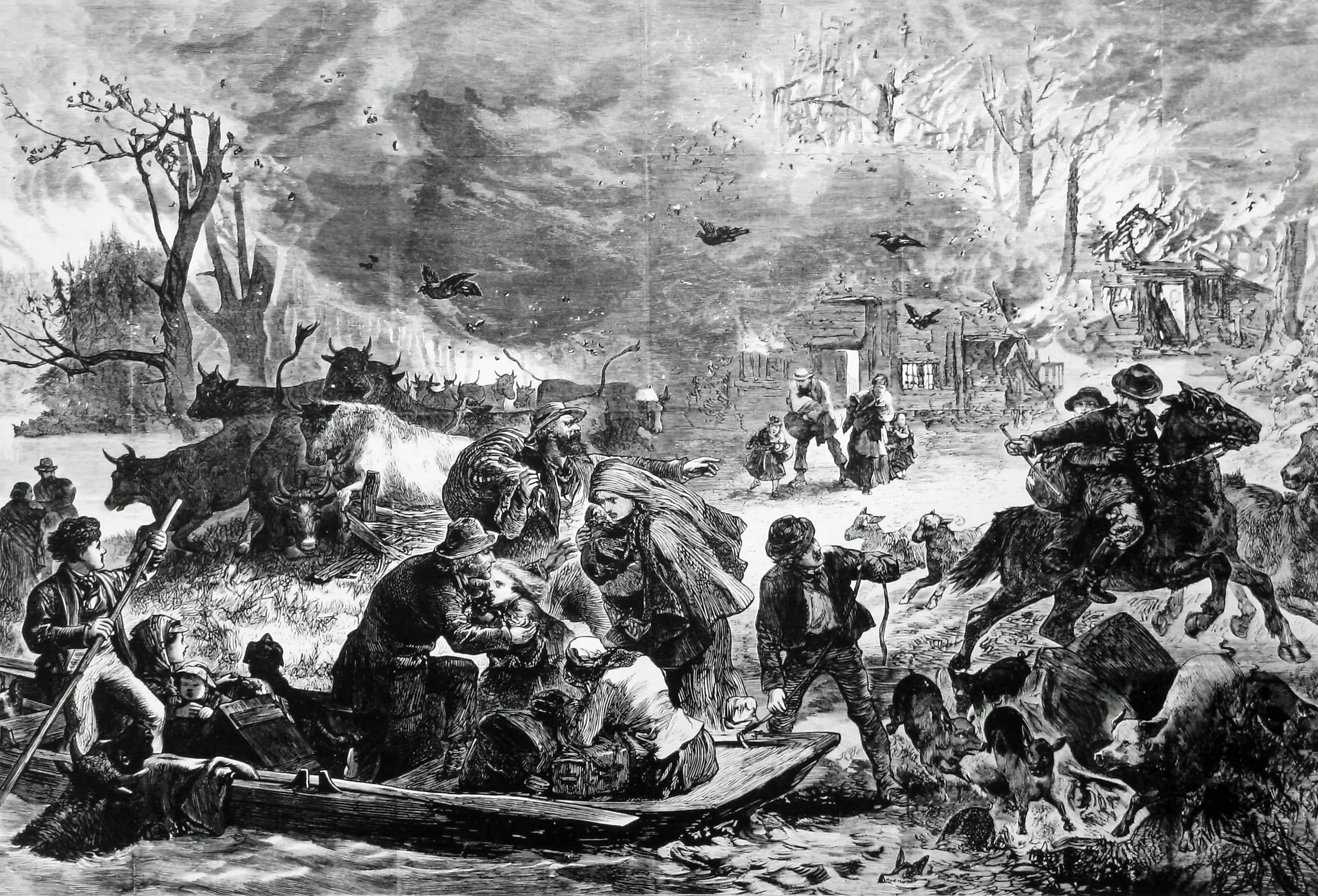 Illustration of the Peshtigo Fire in Wisconsin. Image credit U.S. Forest Service- Pacific Northwest Region, Public domain, via Wikimedia Commons
