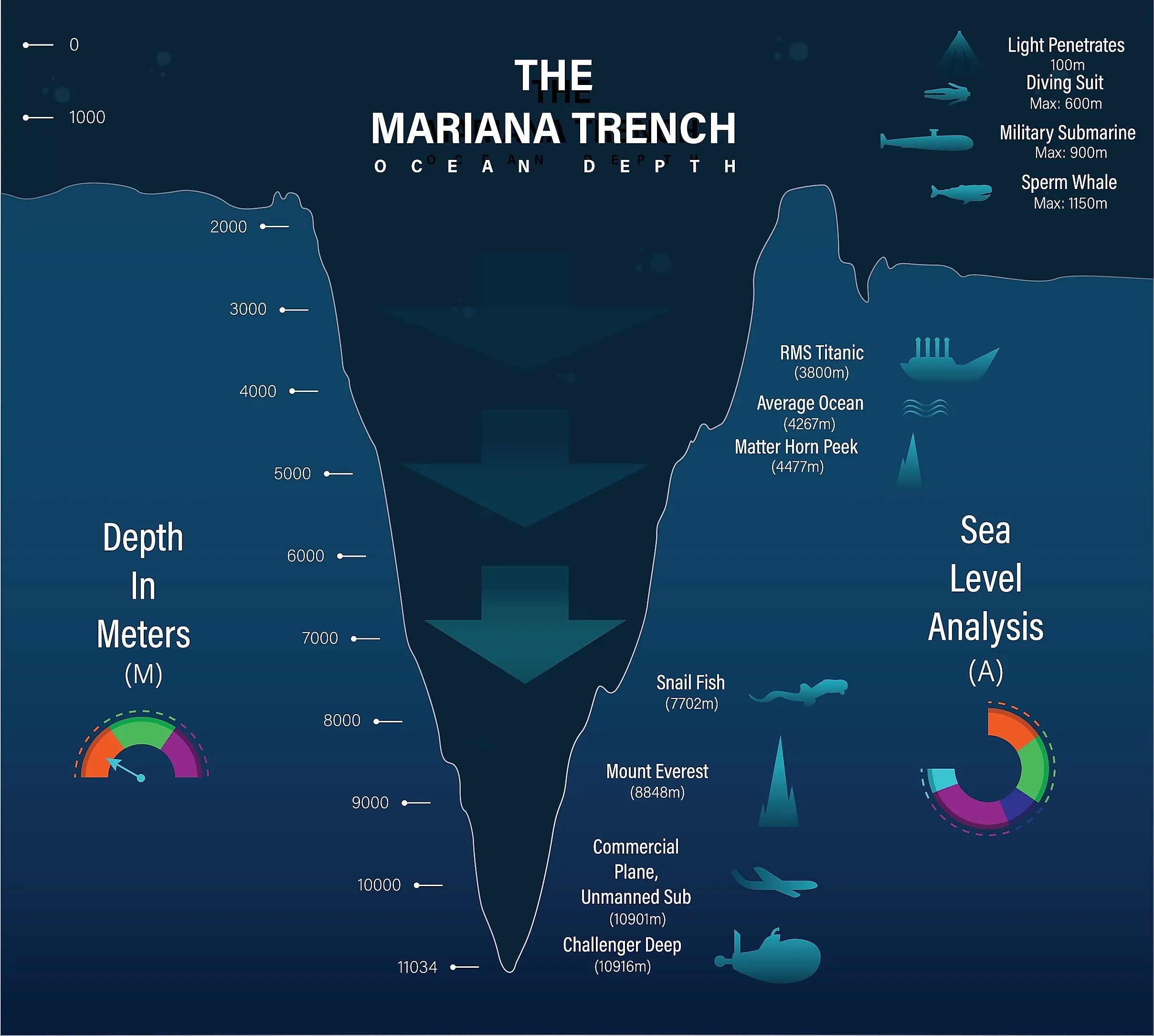 Mariana trench sea illustration. 