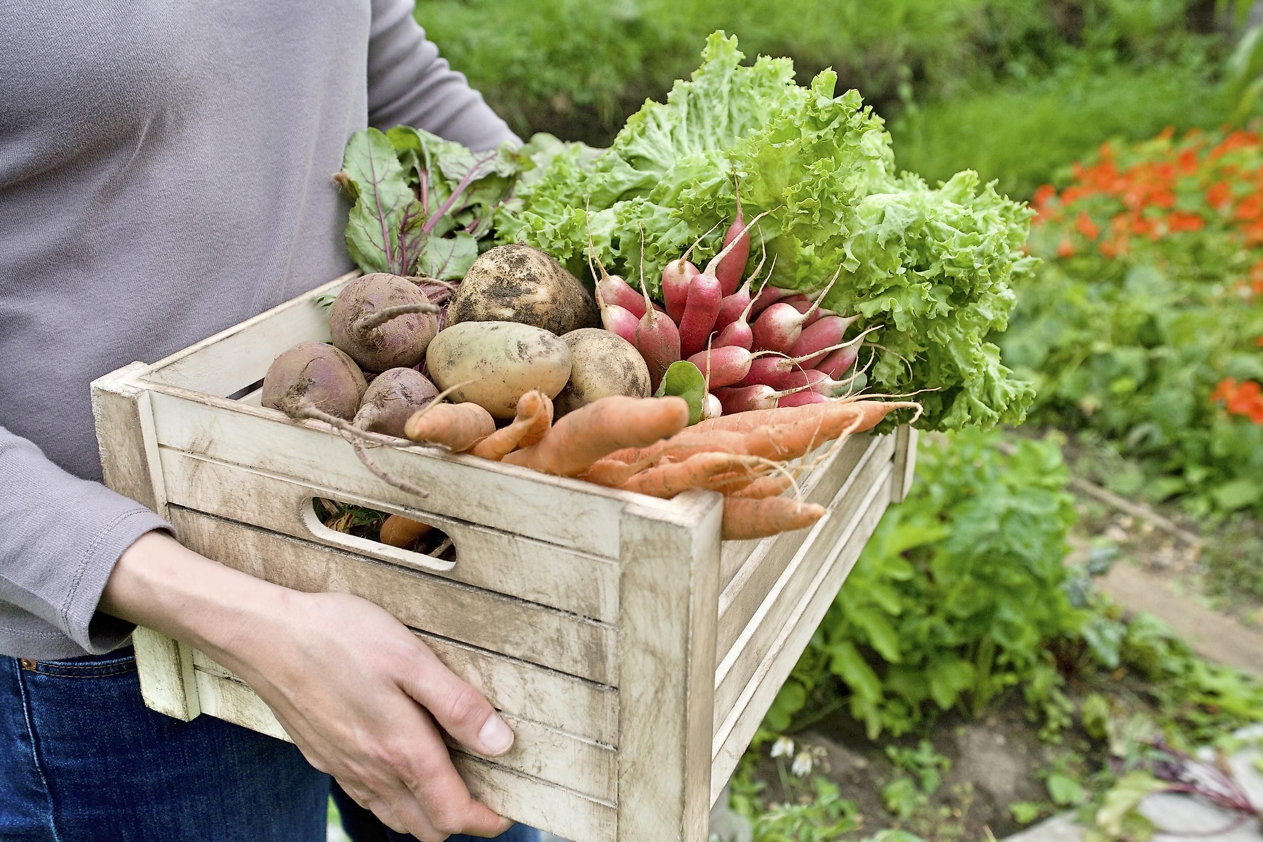 The first thing you can stop doing immediately is to stop wasting food.