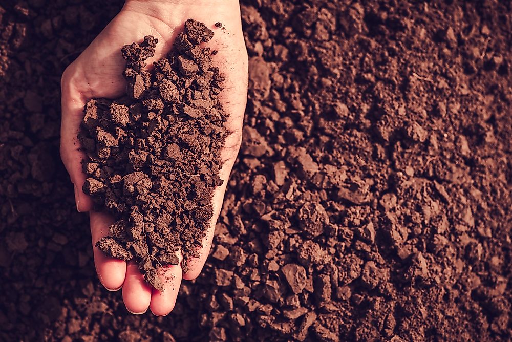 Peat soil is pictured here.