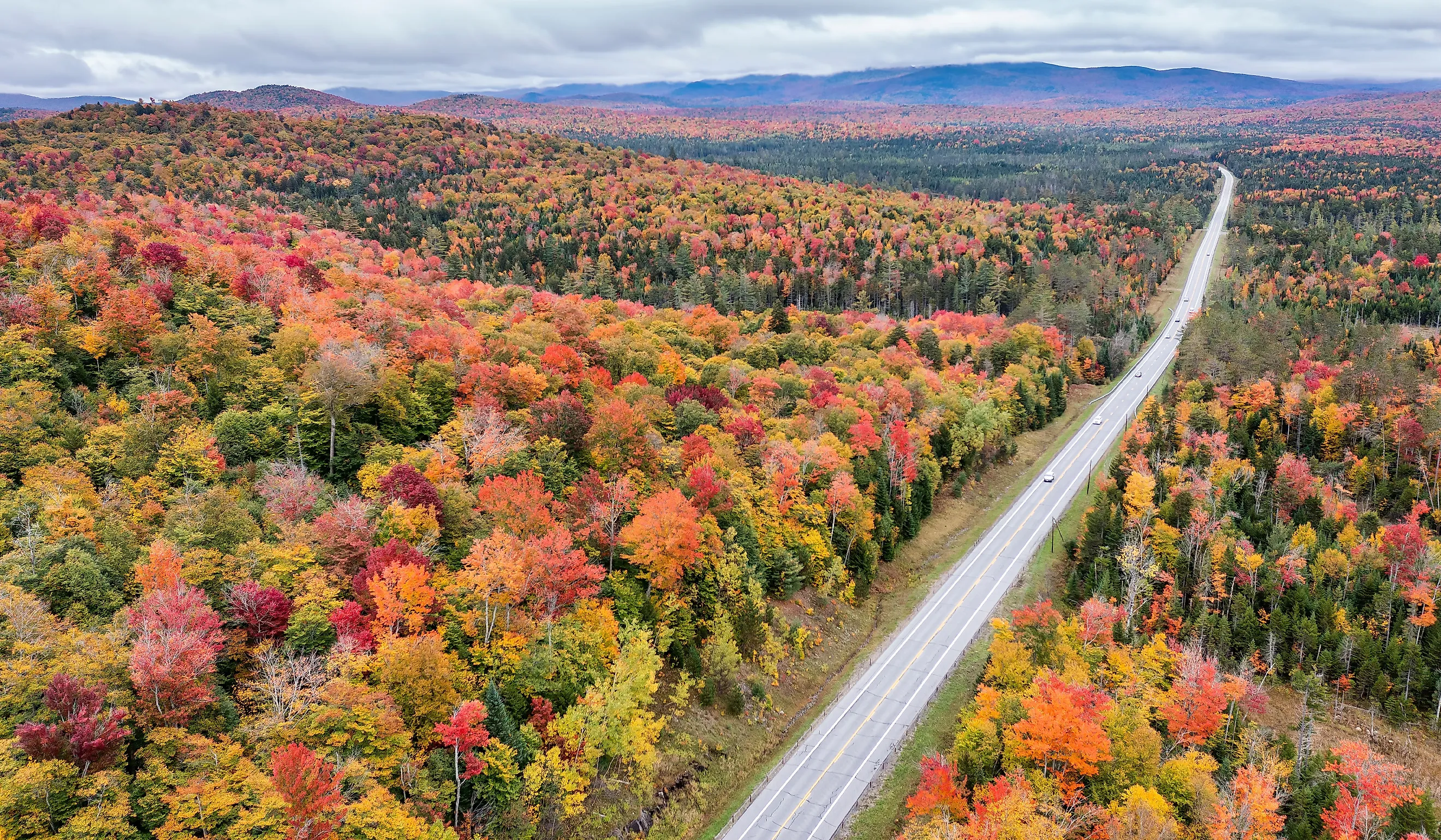 Near Panther Mountain Bog in Adirondack Park in Upstate New York.