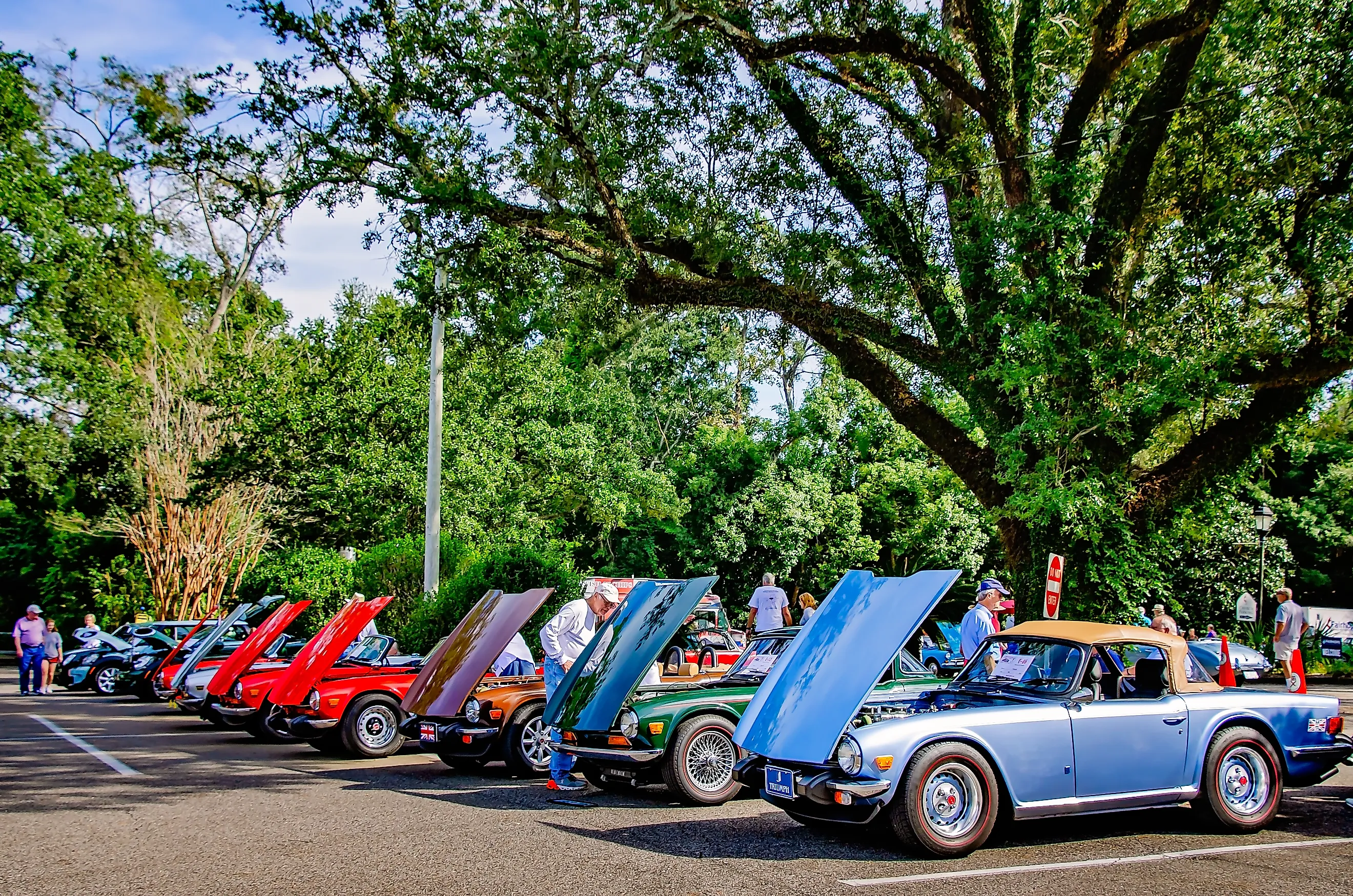 The 31st annual British Car Festival in Fairhope, Alabama. Image credit: Carmen K. Sisson / Shutterstock.com