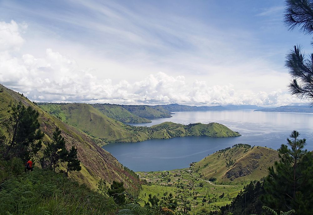 Tapanuli orangutans live in the jungles of South Tapanuli, south of Lake Toba (pictured) in Sumatra.