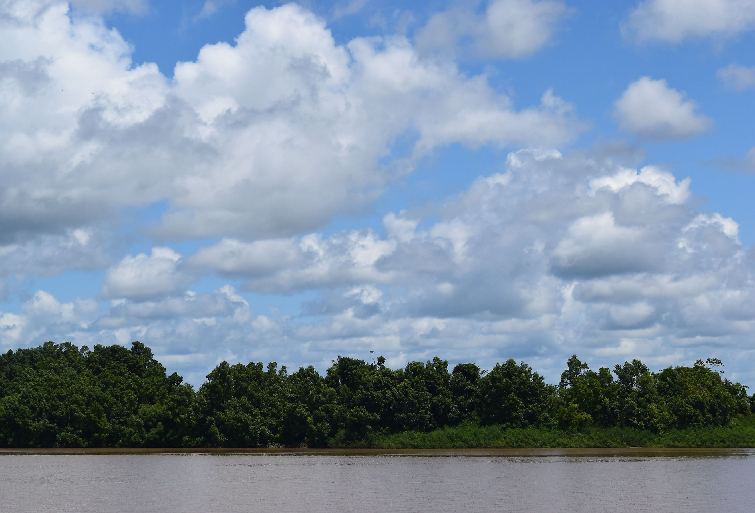 Corantijn River (Courantyne River) at the border of Guyana and Suriname in South America with trees lining the banks.