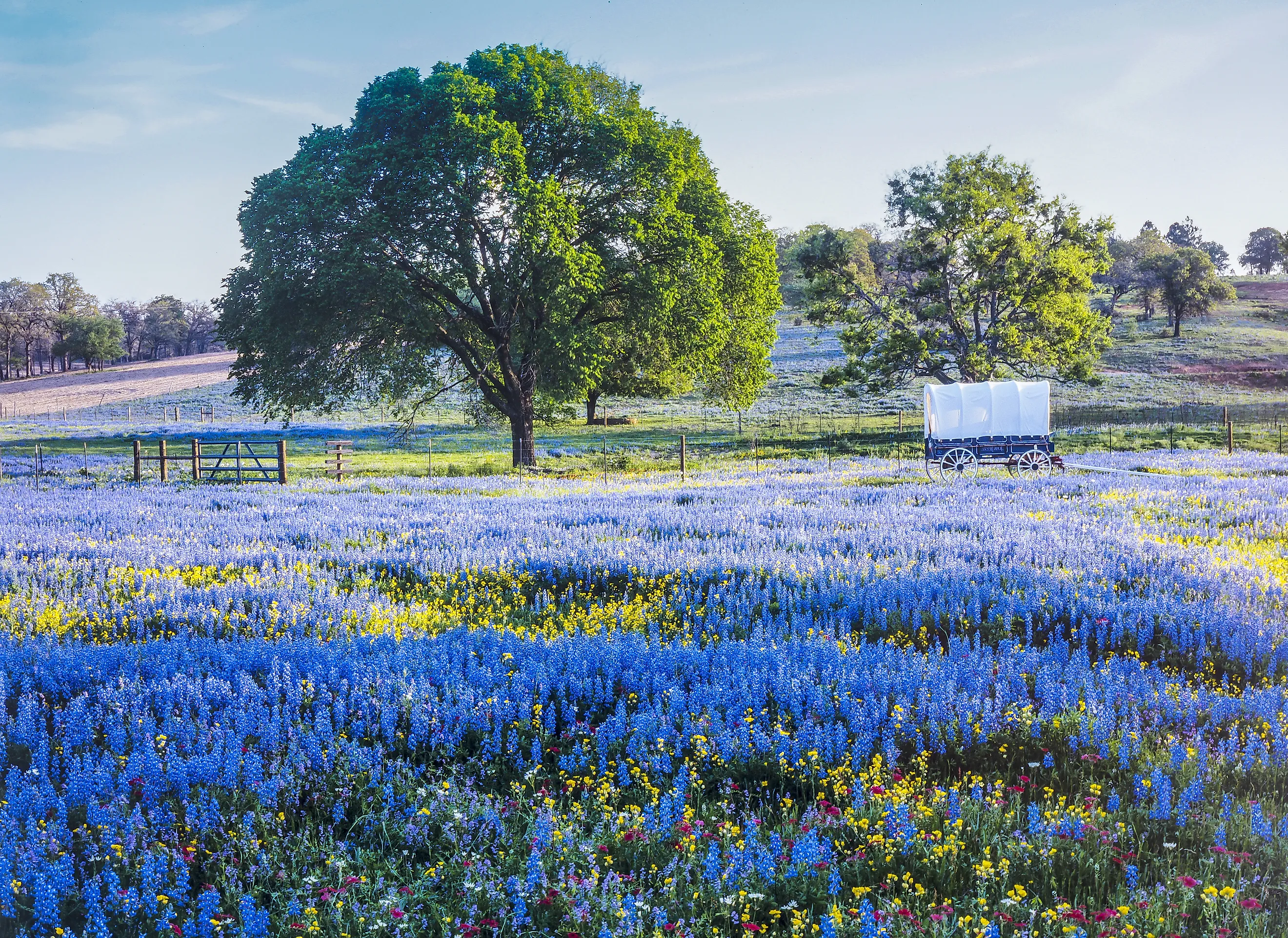 Texas Hill Country is a 25-county region of Central Texas and South Texas. 
