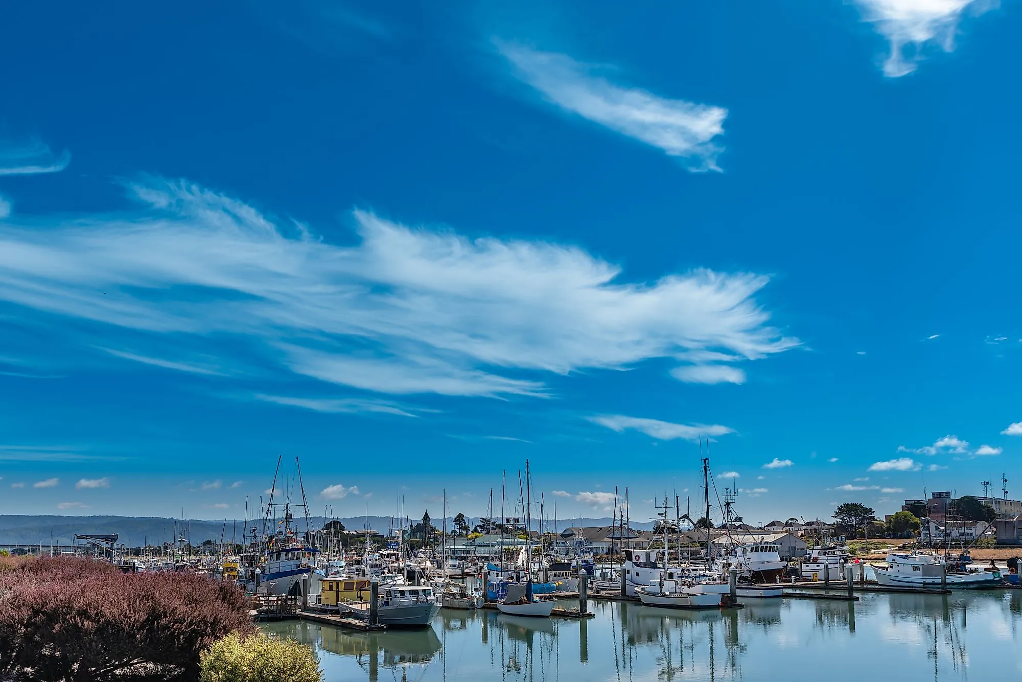 Woodley Island Marina is the largest marina on Humboldt Bay. 