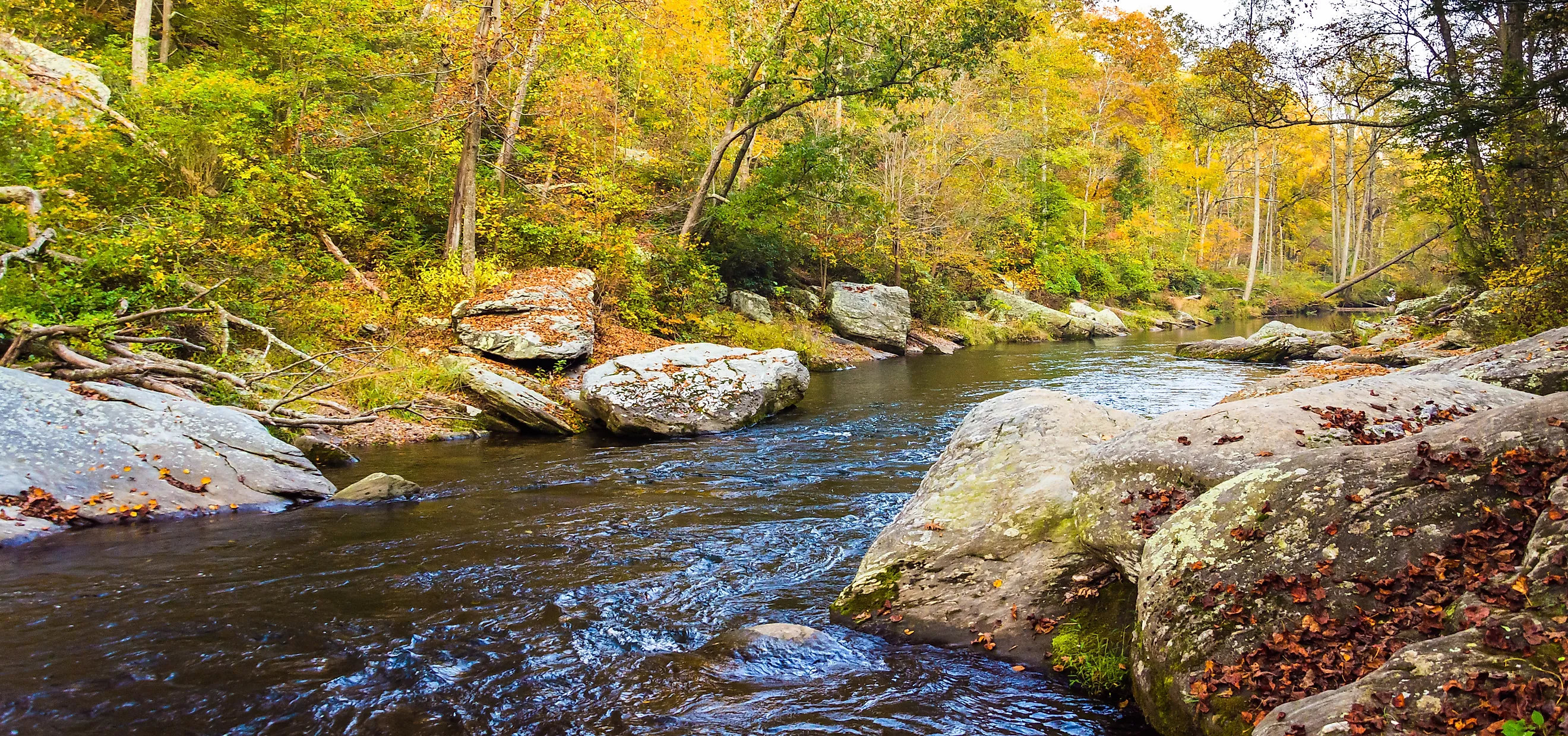 Wild horses of Assateague Island National Seashore, near Berlin, Maryland.