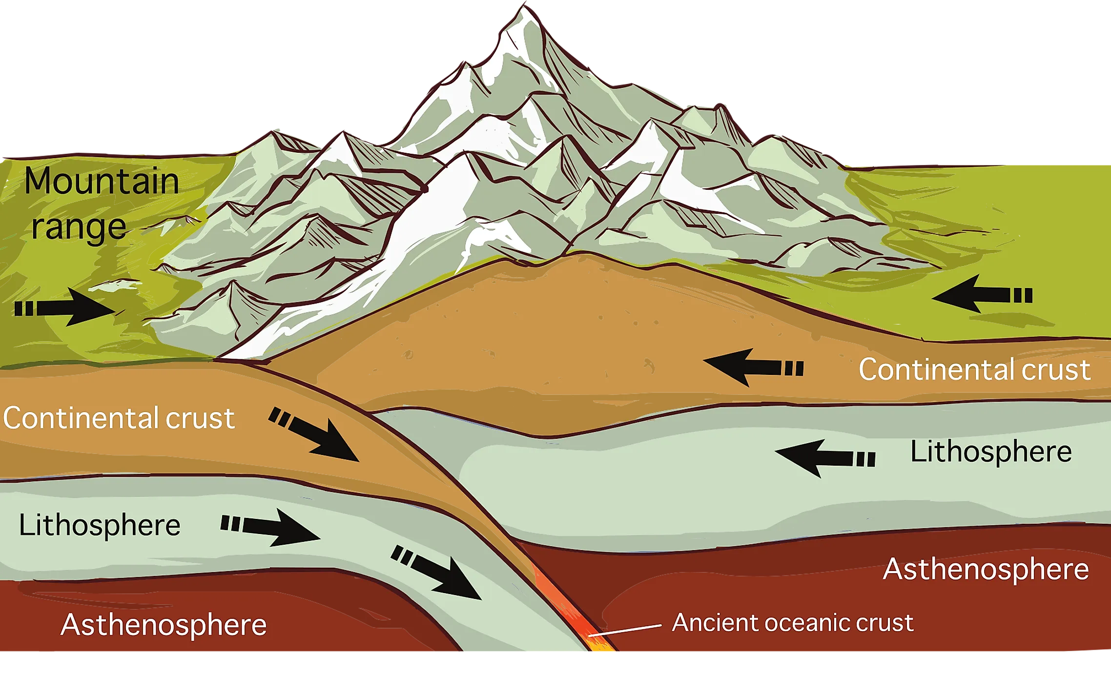 Subduction movements of continental plates leading to the formation of mountains.