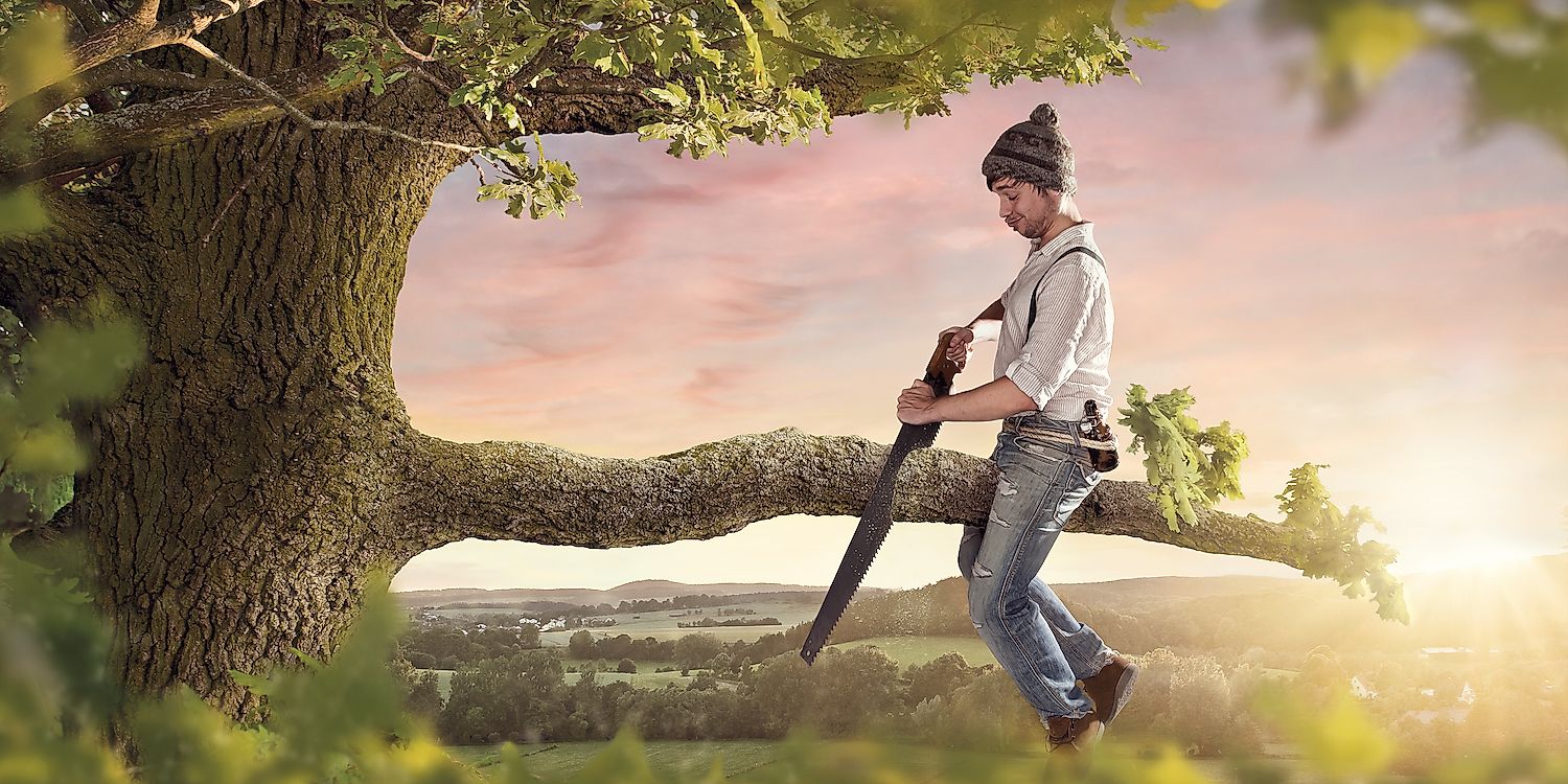 Image credit: Photoschmidt/Shutterstock.com