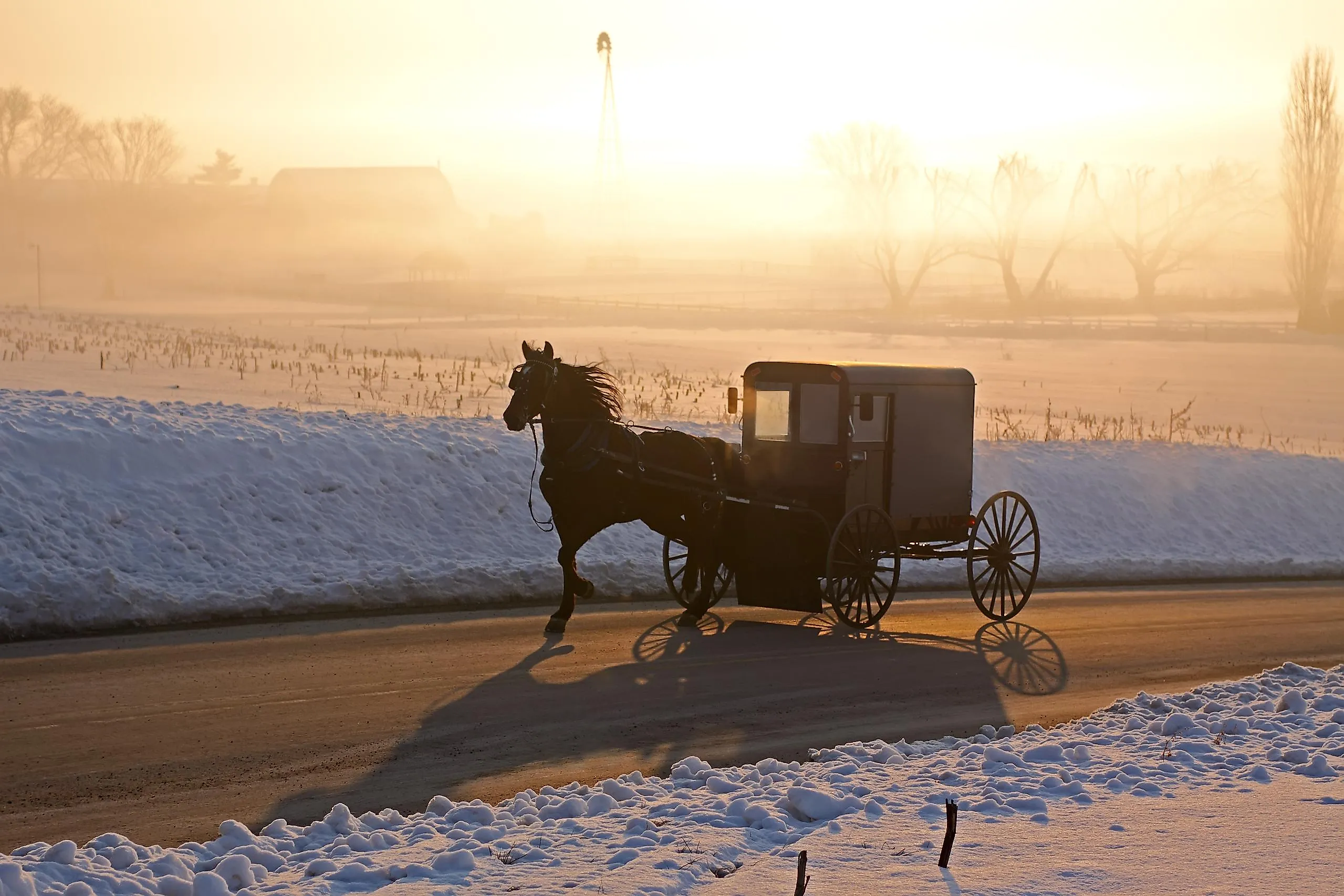 Amish carriage in morning fog, Lancaster County, Pennsylvania. Via Shutterstock / Delmas Lehman