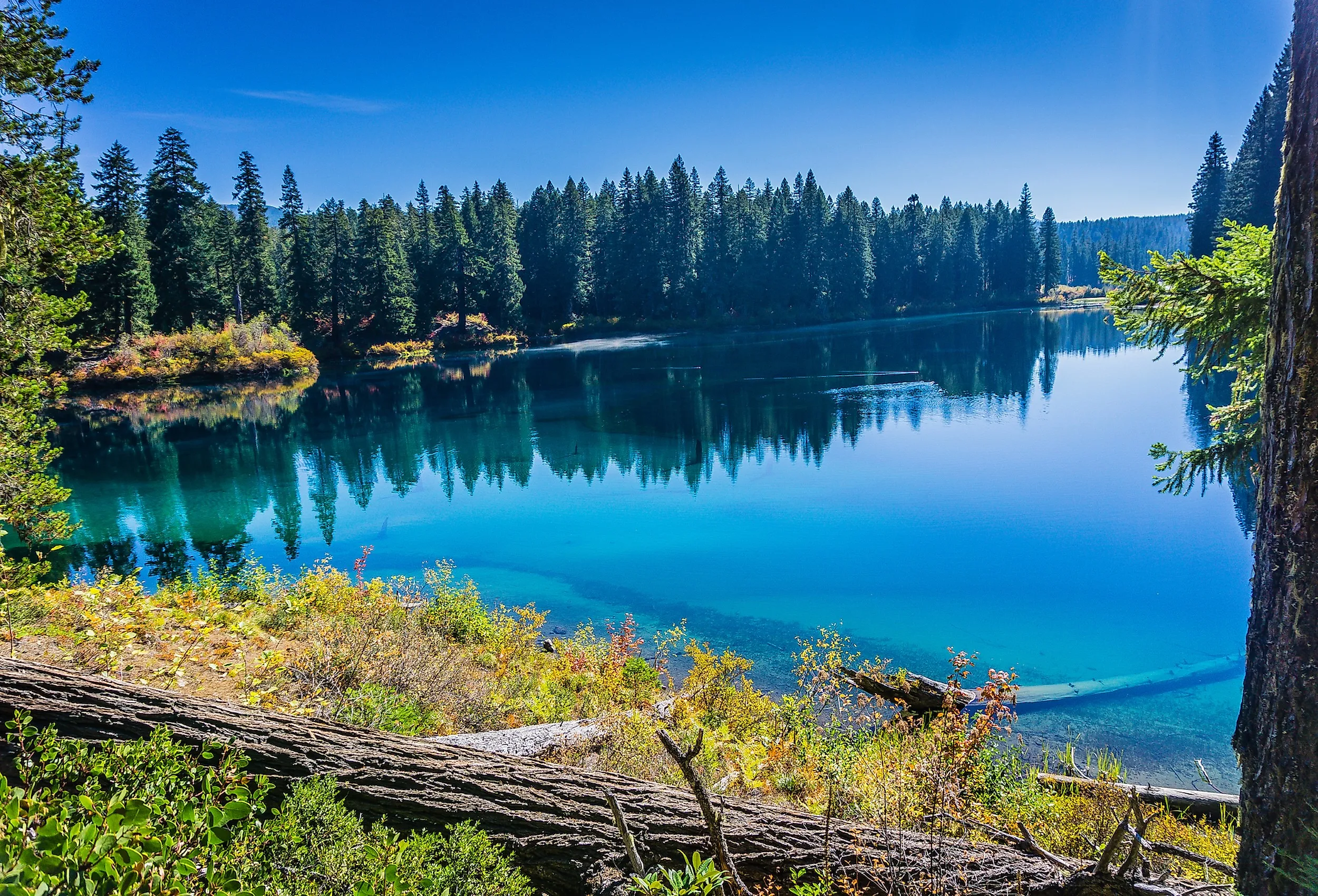 Clear Lake, in Oregon's Willamette National Forest, seen from the McKenzie River Trail.
