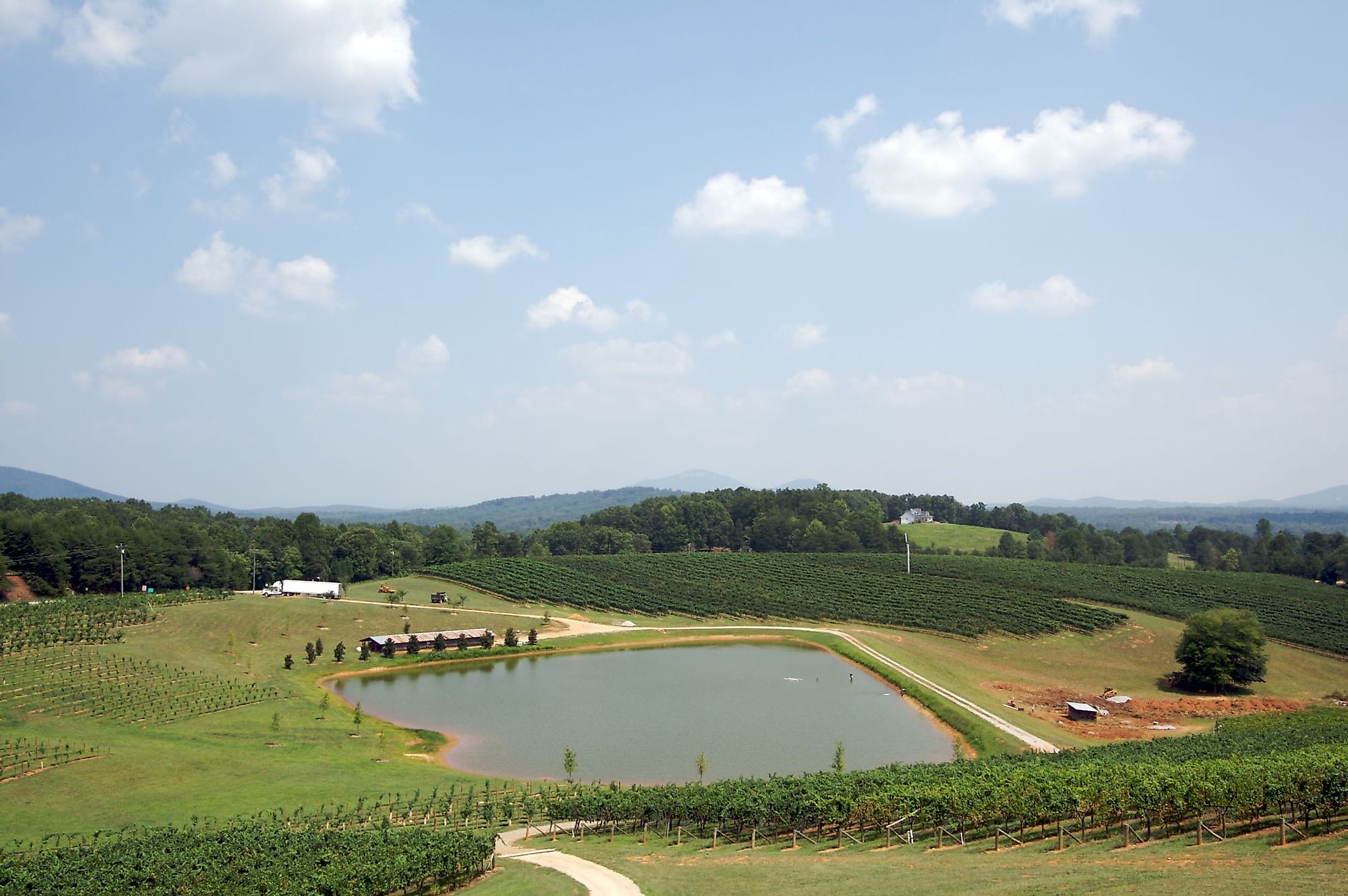 Landscape with a pond and vineyard in Georgia.