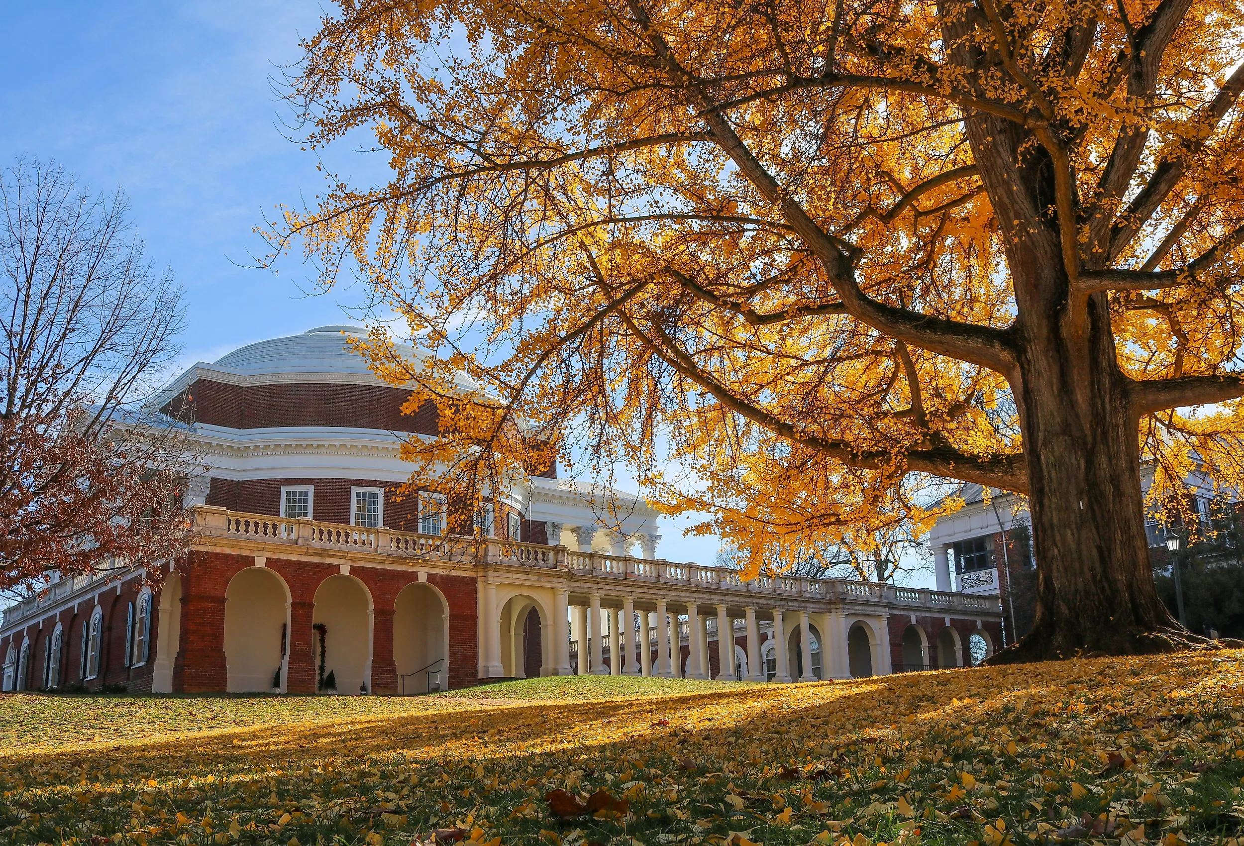 Fall at the University of Virginia, Charlottesville.