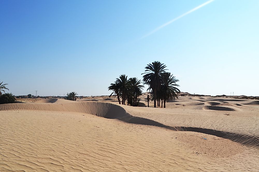 Deserts cover approximately one-third of the earth's land surface. The largest cold desert in the world is Antarctica. The world's largest hot desert is the Sahara.