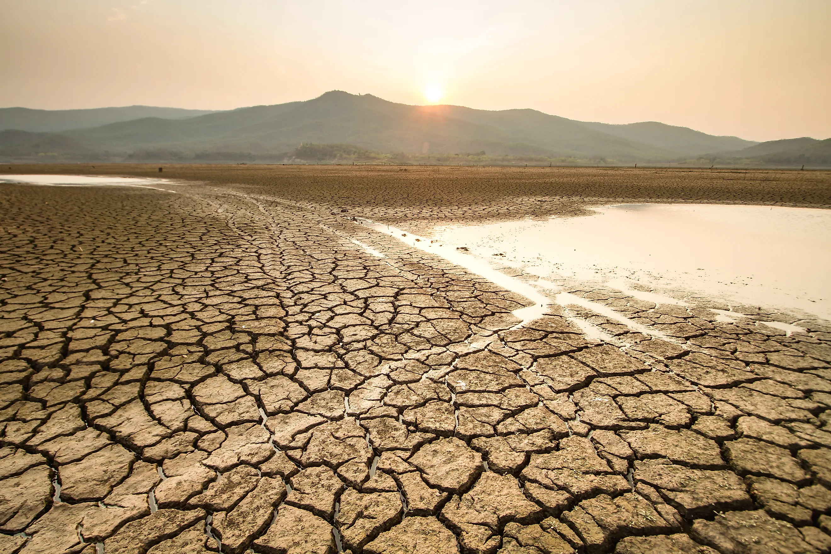Cracked, dry lakebed caused by extreme heat and drought, illustrating the impact of climate change during summer.