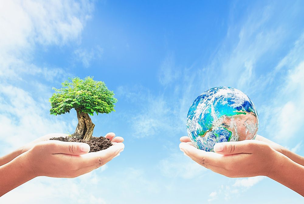 The Whitley Awards recognize excellence in natural conservation.