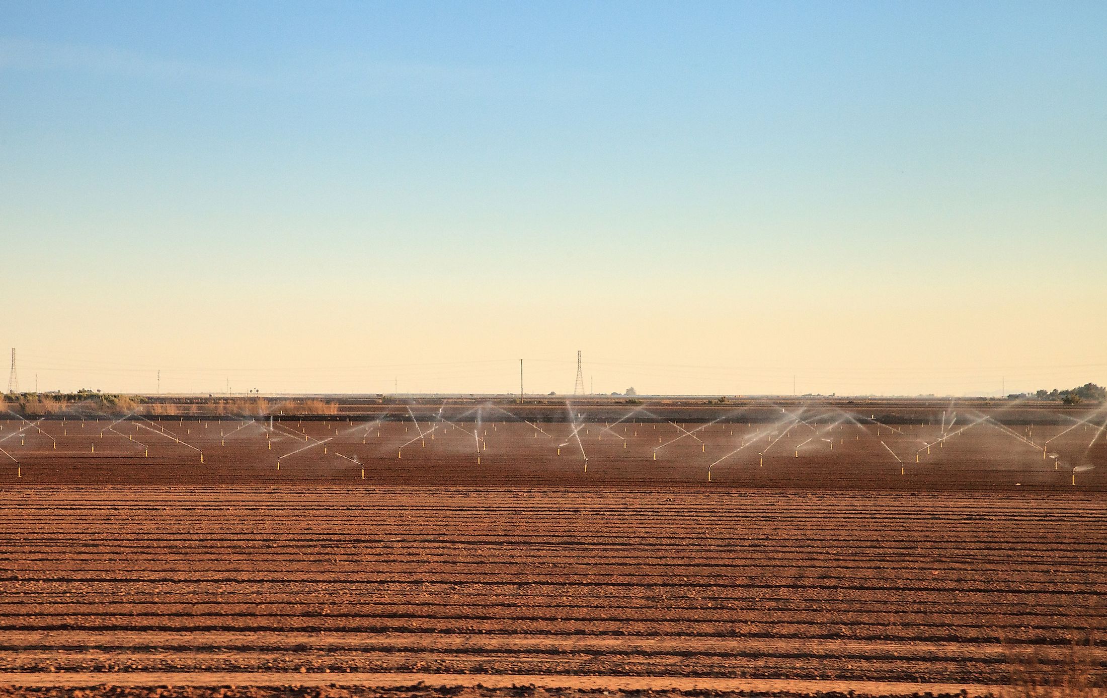 Watering Green Rows of Agriculture fields with sprinklers in Calexico.