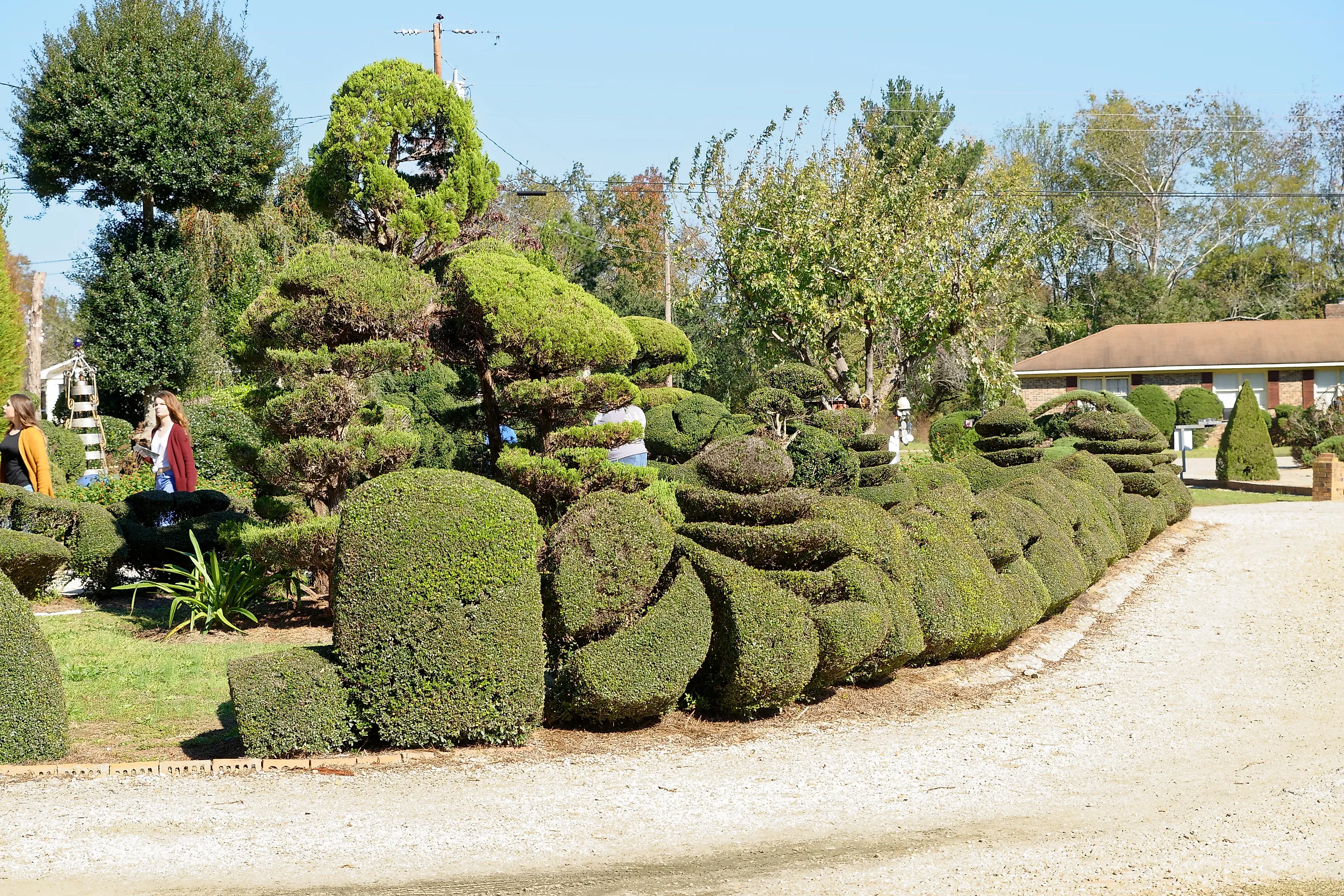 Pearl Fryar Topiary Garden, Bishopville, SC By Judson McCranie, CC BY-SA 3.0, Wikimedia Commons
