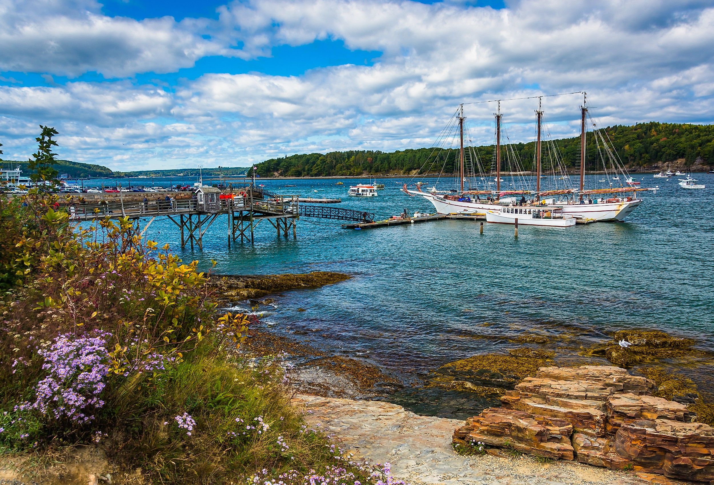 Rocky coast with pretty pink flowers blooming and boats in the harbor at Bar Harbor, Maine.