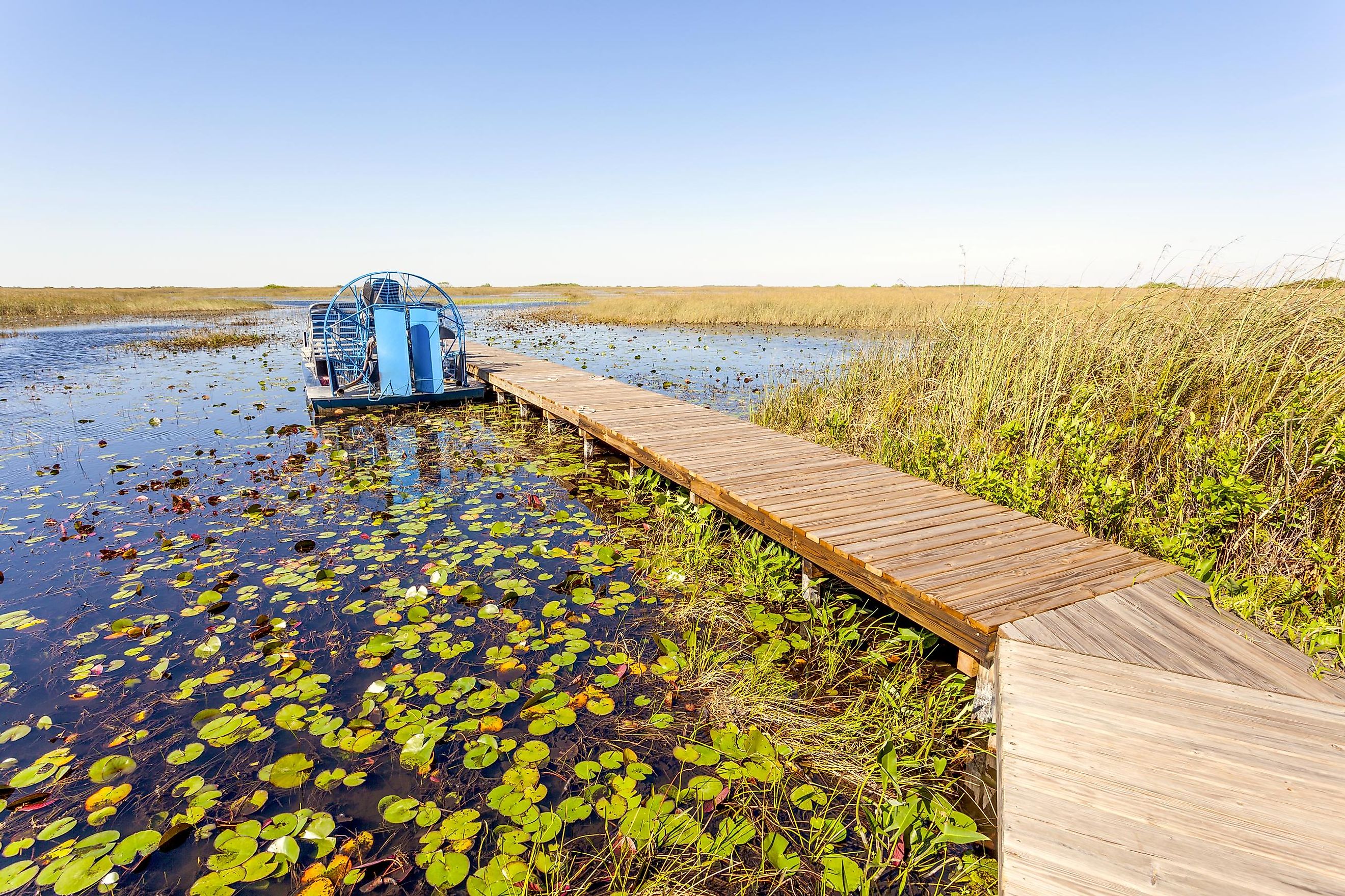 Everglades National Park walking trail, Florida.