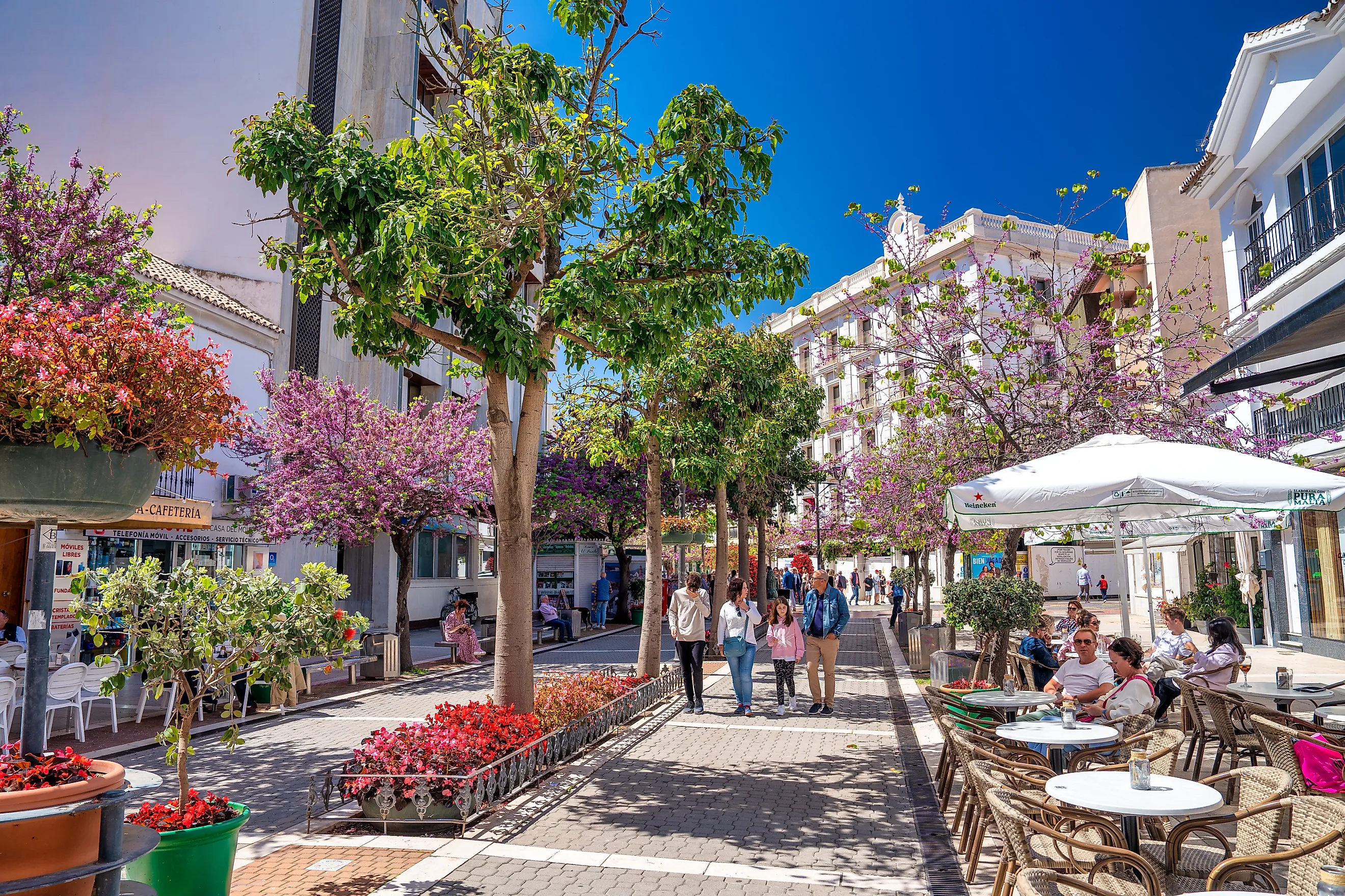 The beautiful promenade of Estepona on a clear sunny day, Andalusia (Editorial credit: GagliardiPhotography / Shutterstock.com)