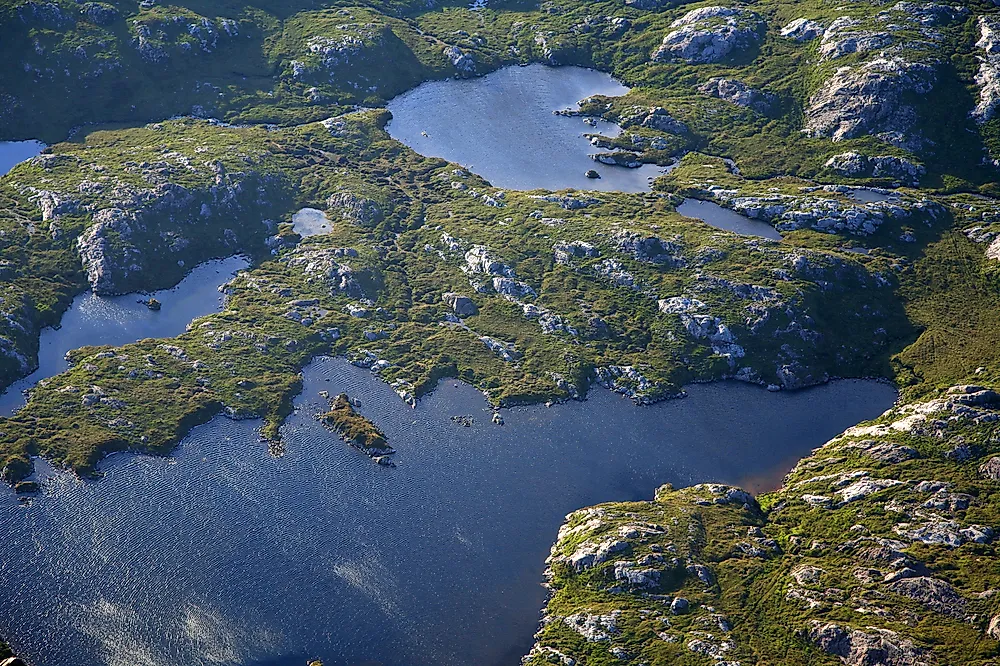 Peat soil can be an example of a natural carbon sink.