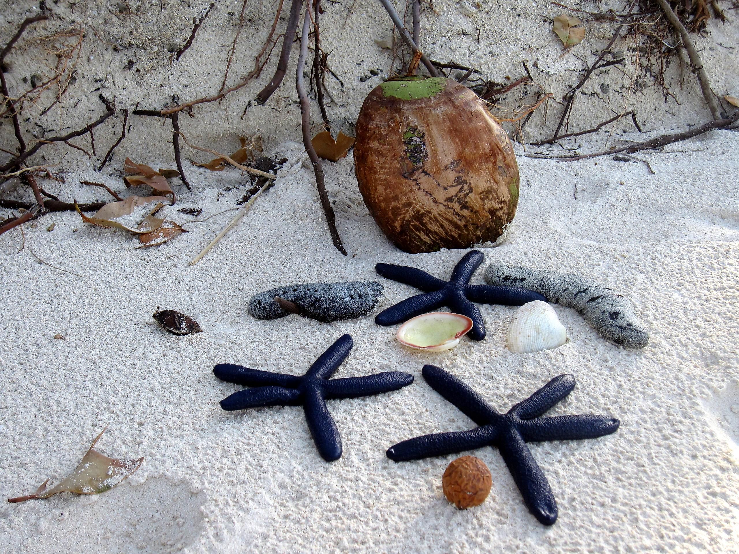 White sands lie under perfect skies in Fiji's Mamanuca Islands.