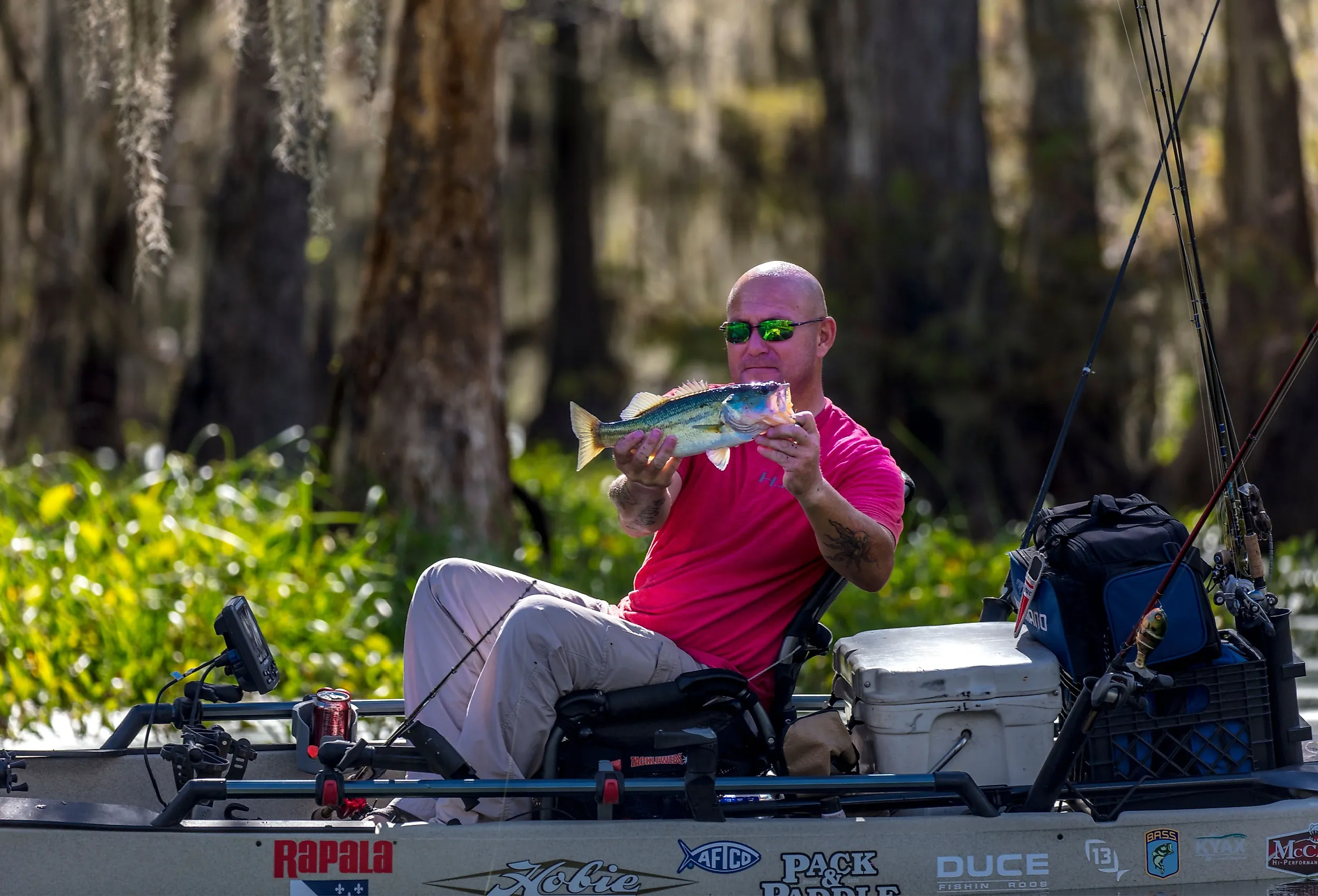 Fisherman in Cajun Swamp & Lake Martin, near Breaux Bridge and Lafayette, Louisiana. Image credit Joseph Sohm via Shutterstock.com.