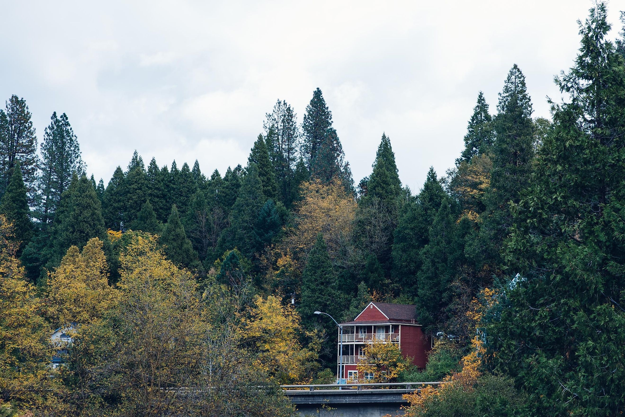 Fall colors in Nevada City
