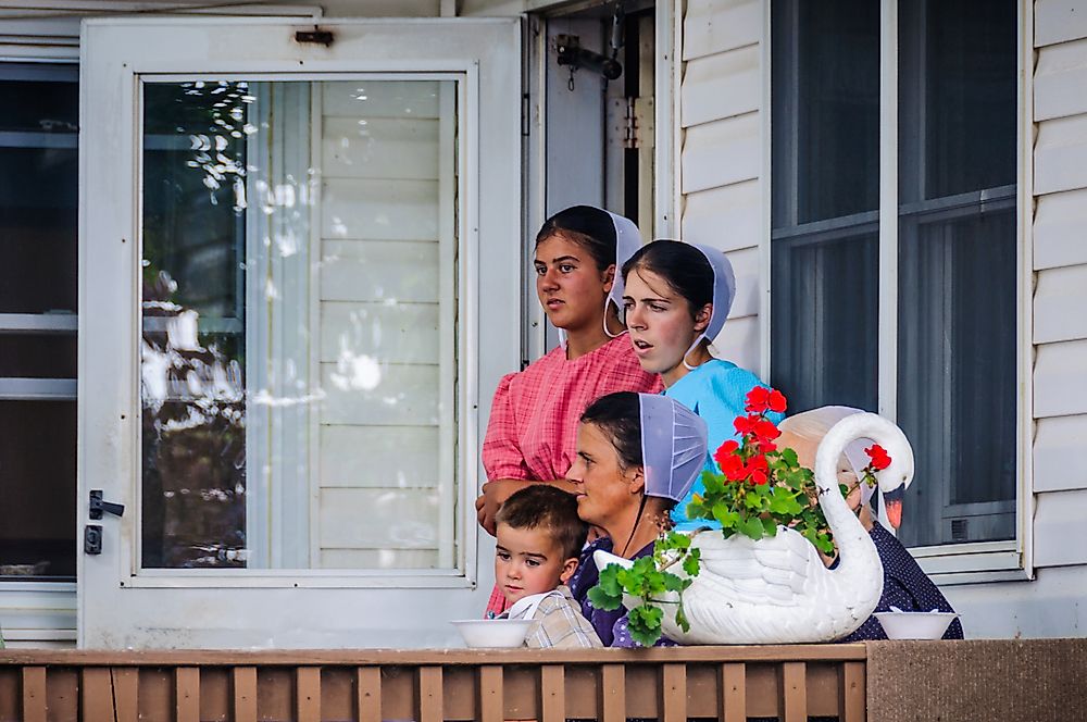 Image credit: Gabor Kovacs Photography / Shutterstock.com