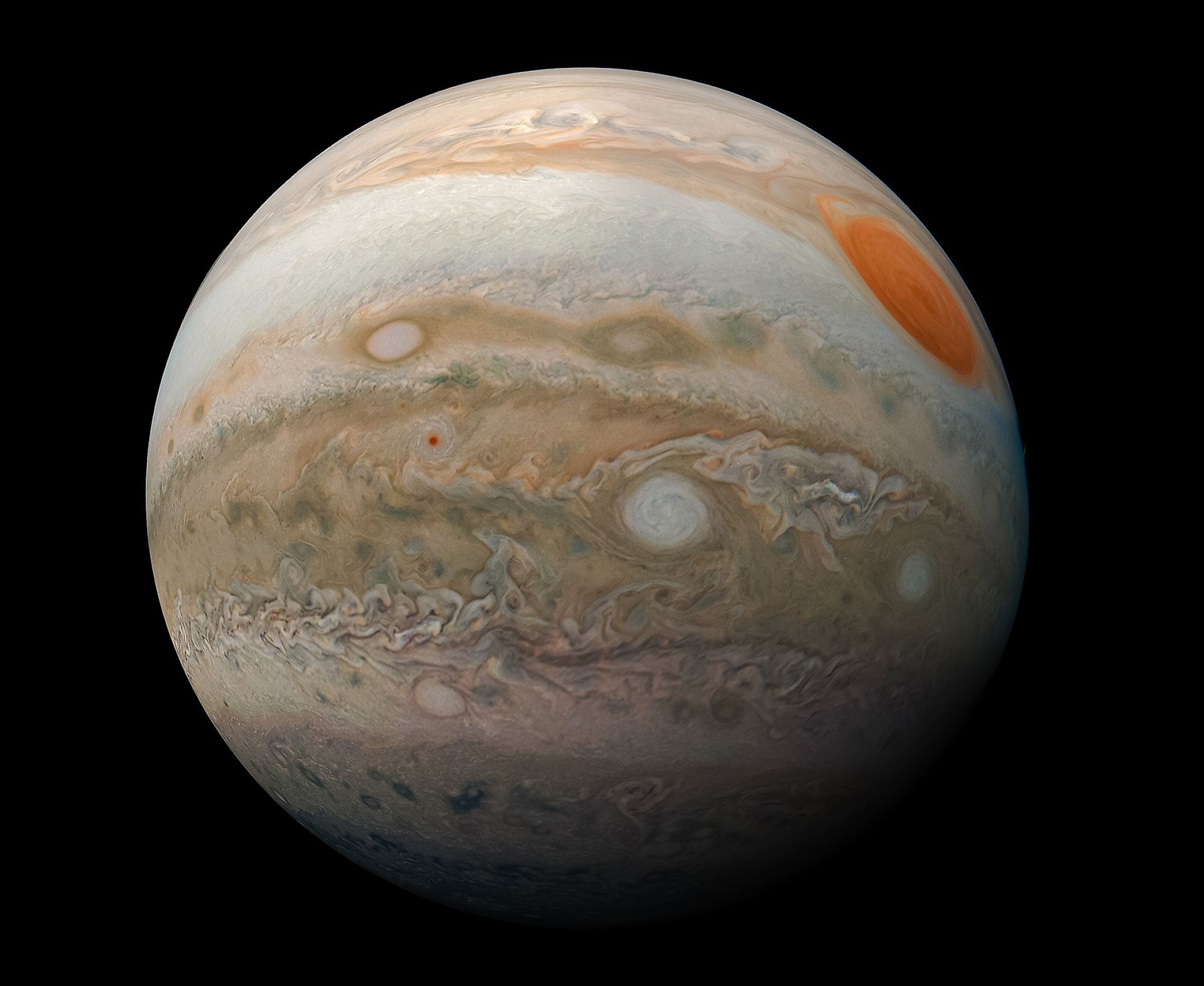 Image of Jupiter taken by the Juno spacecraft. Image credit: NASA