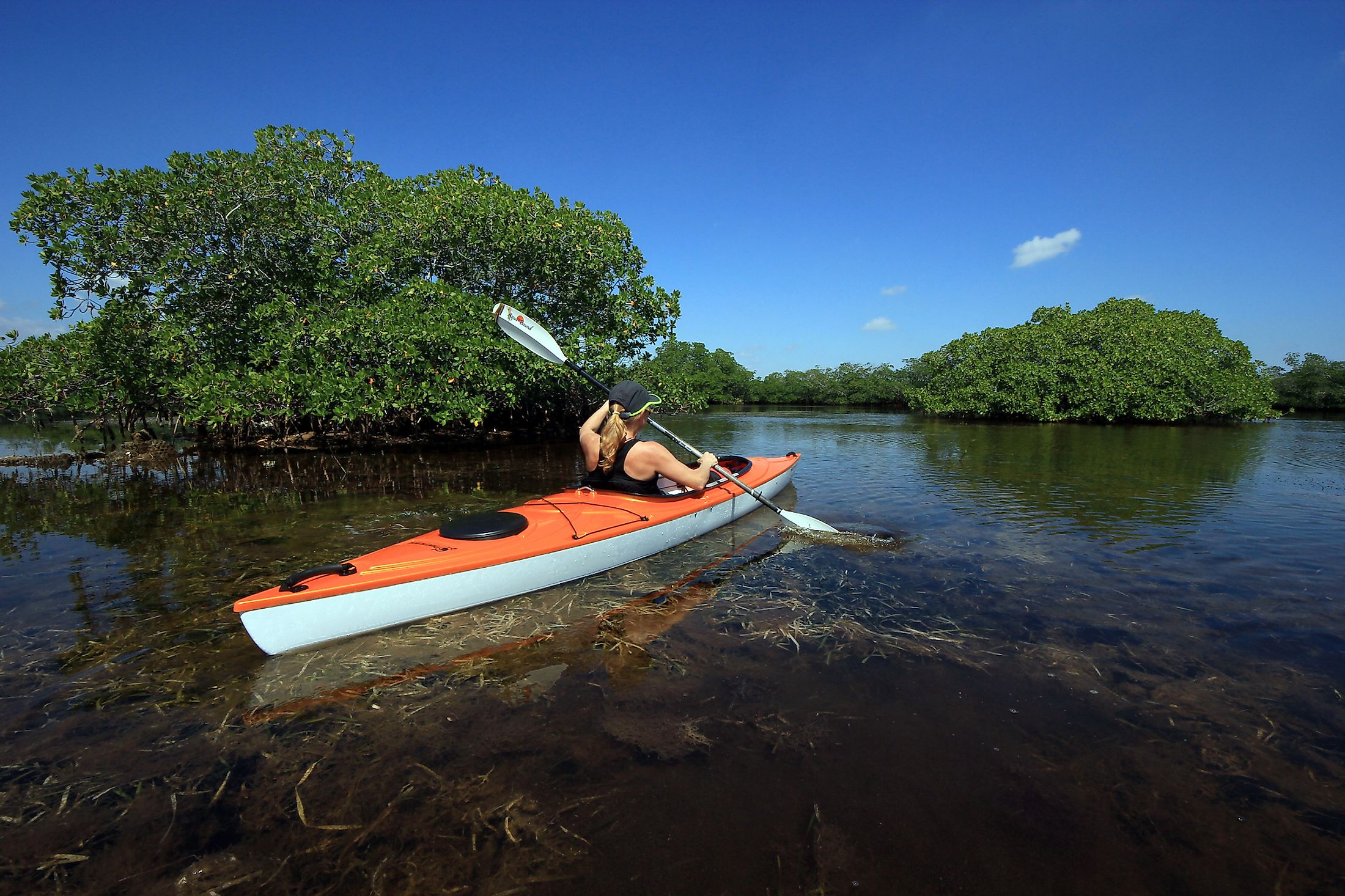 A kayaker in the Biscayne National Park. Editorial credit: Francisco Blanco / Shutterstock.com
