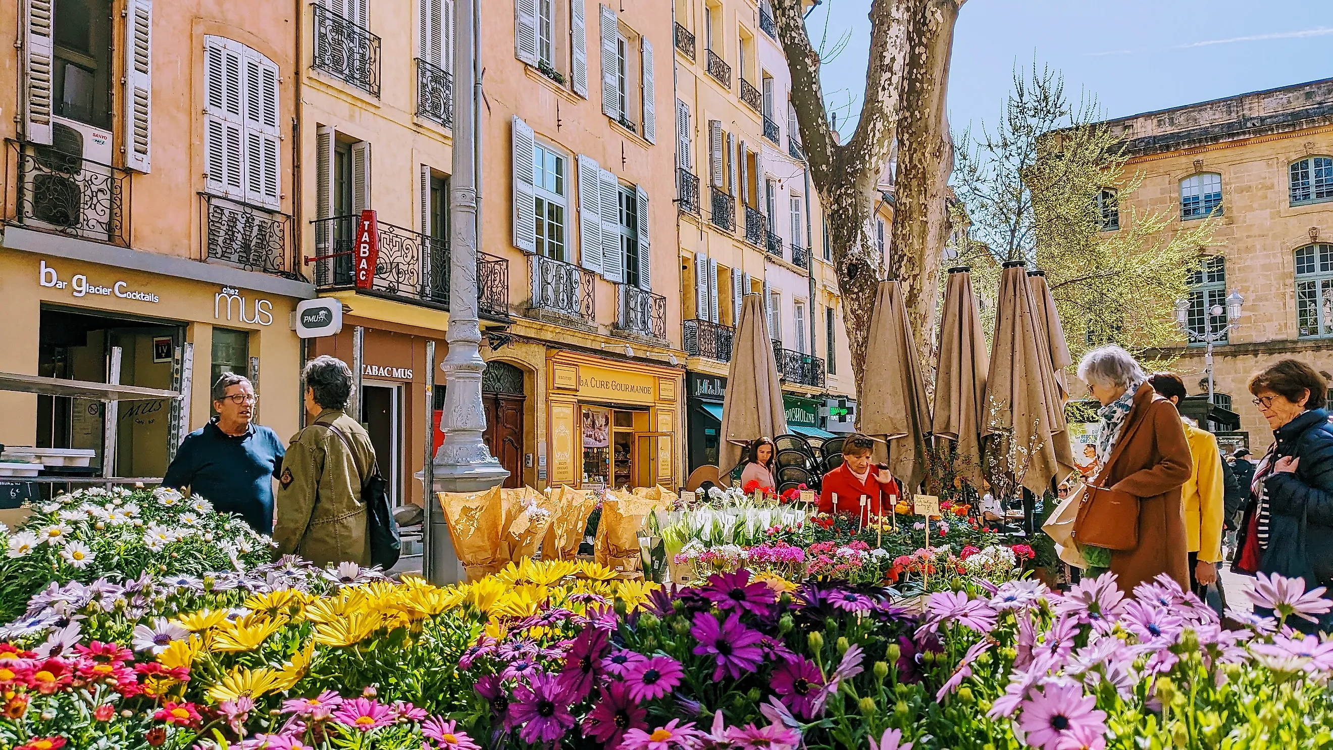  Shoppers browsing vibrant flower market stalls in Aix-en-Provence (Editorial credit: Volker Vornehm / Shutterstock.com) 