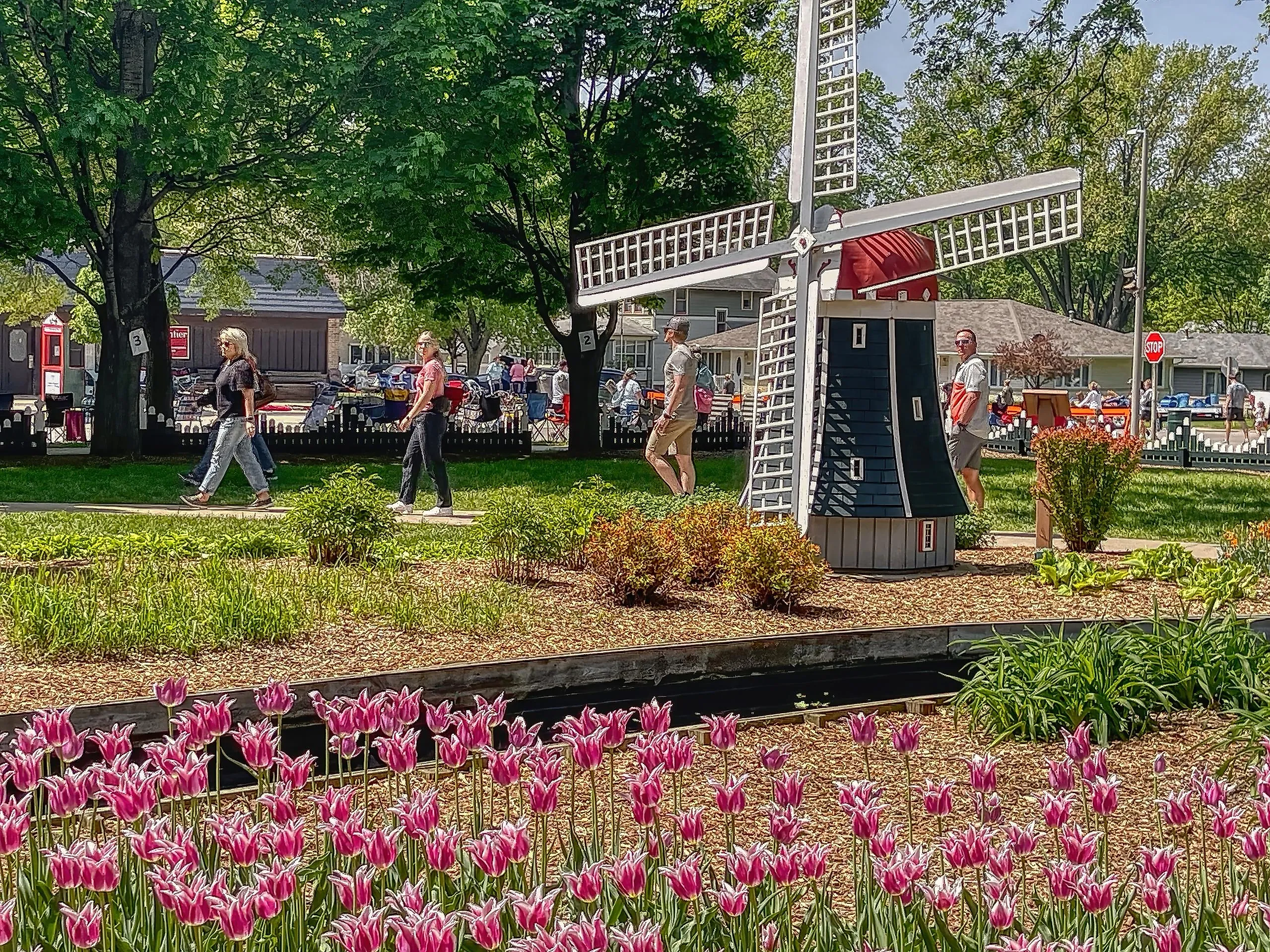 Annual Tulip Festival in Orange City, Iowa. (Image credit Jacob Boomsma via Shutterstock)