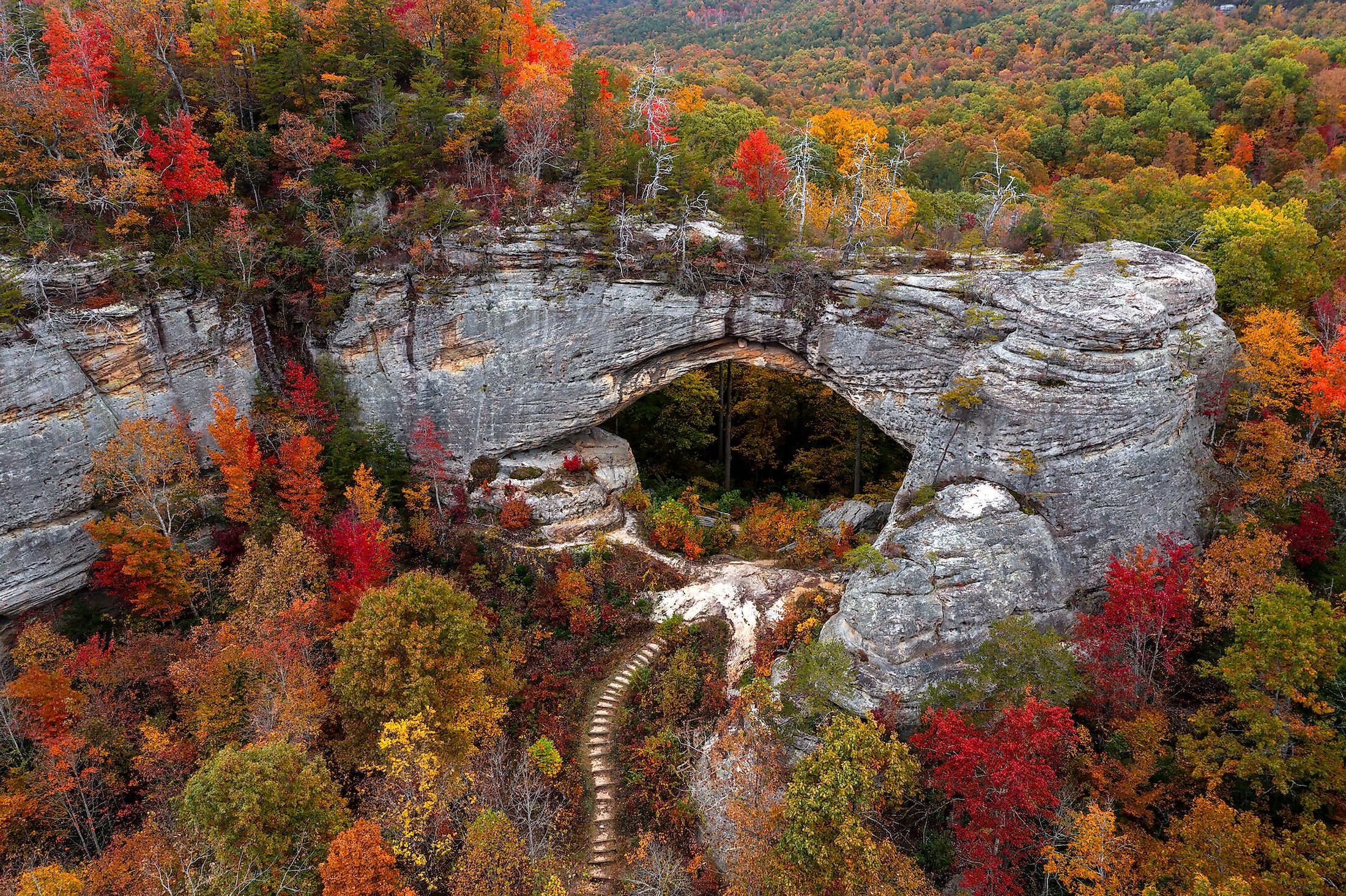 The Daniel Boone National Forest bursts with a riot of fall colors.
