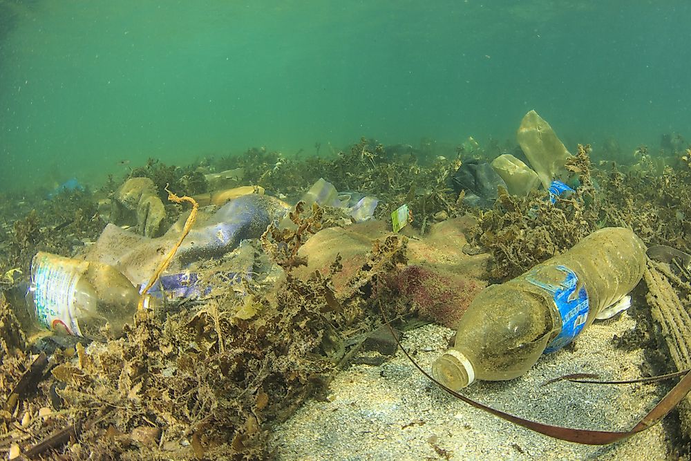 Marine pollution is detrimental to wildlife and ecosystems.