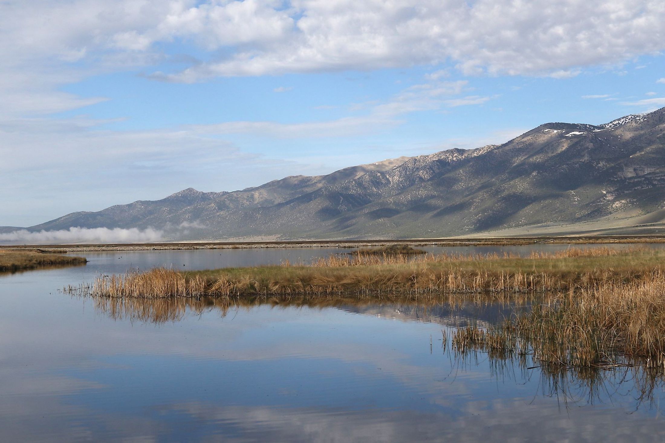 Wetland at Ruby Lake National Wildlife Refuge, Nevada