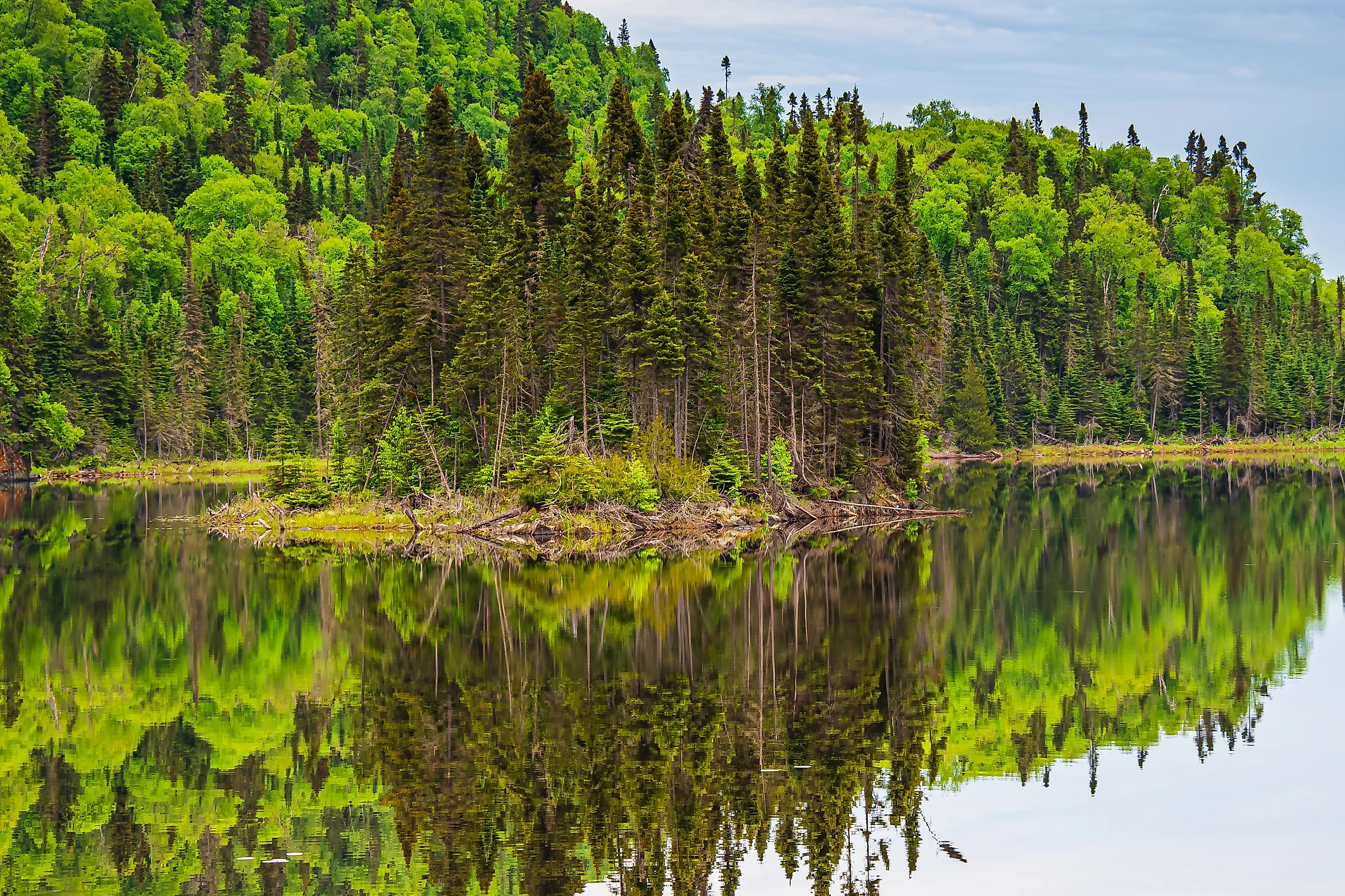 Lake in Nipigon Ontario Canada showing scenic view of Cedar Pine forest