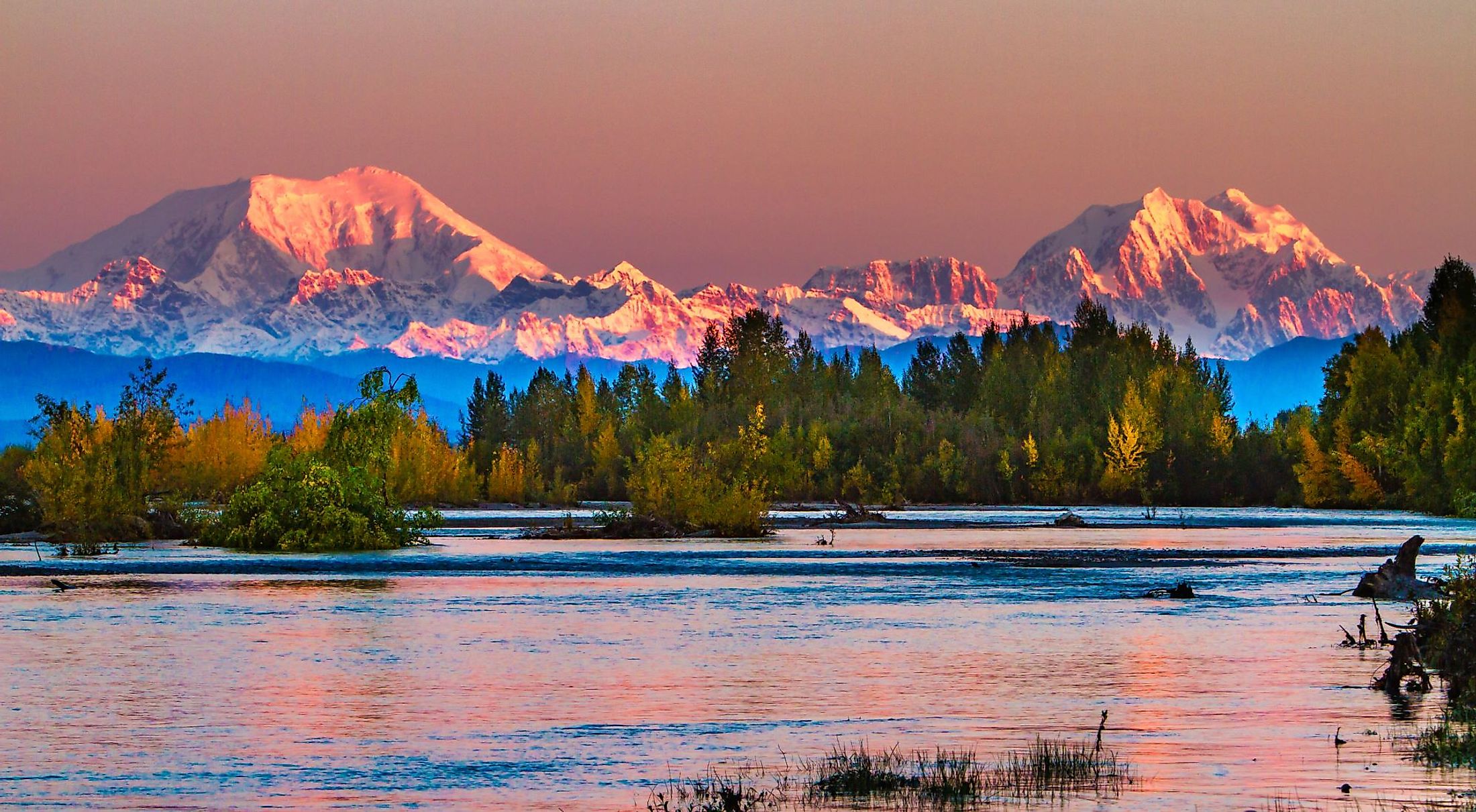 Sunrise on Mount Foraker and Mount Hunter across the Susitna River with fall foliage. 