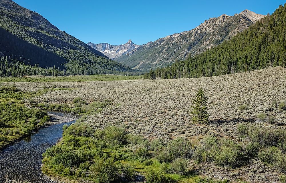 Salmon-Challis National Forest, Idaho. It is the second largest National Forest in the continental United States.