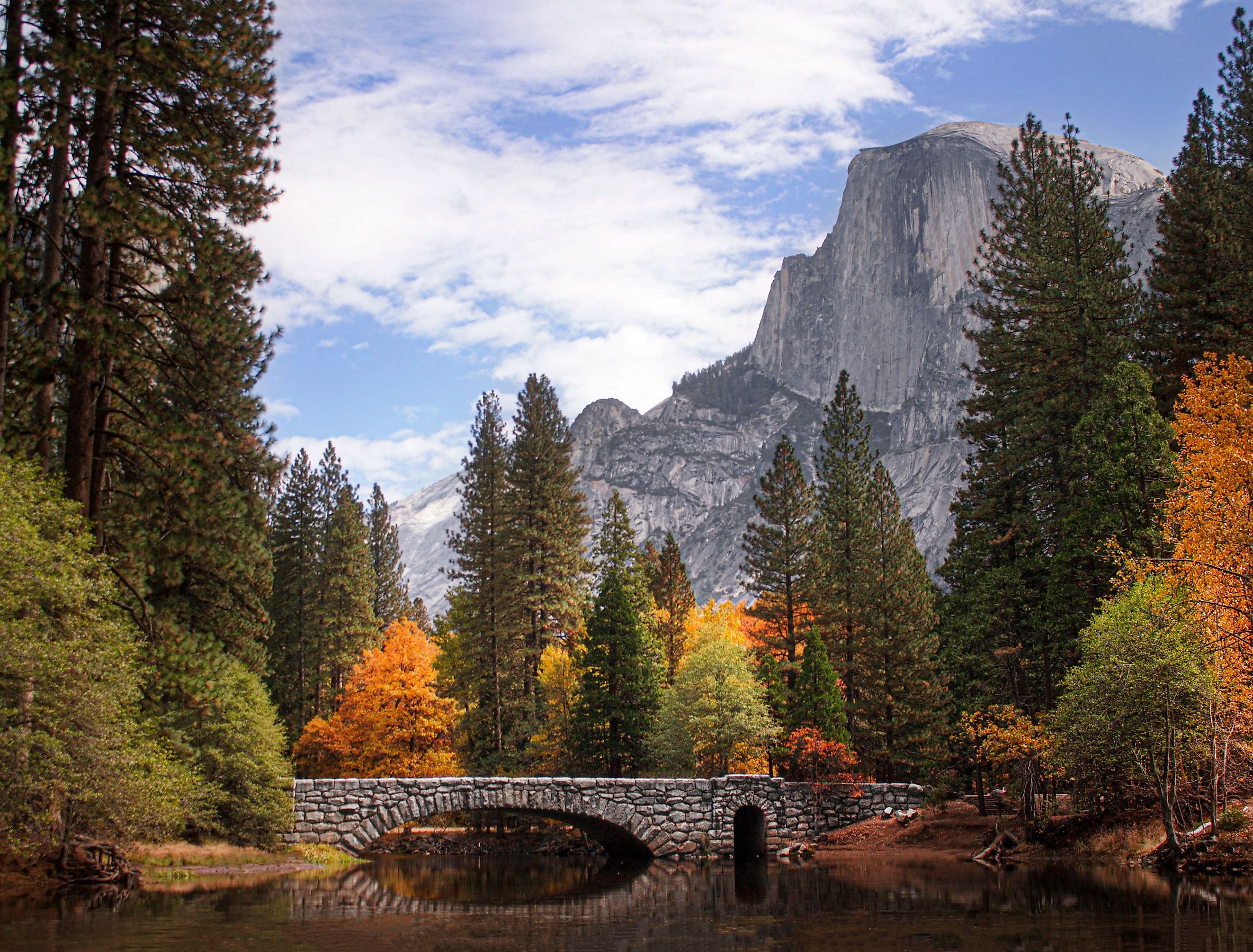 Half Dome in Yosemite National Park. Image credit sixfournorth via Shutterstock