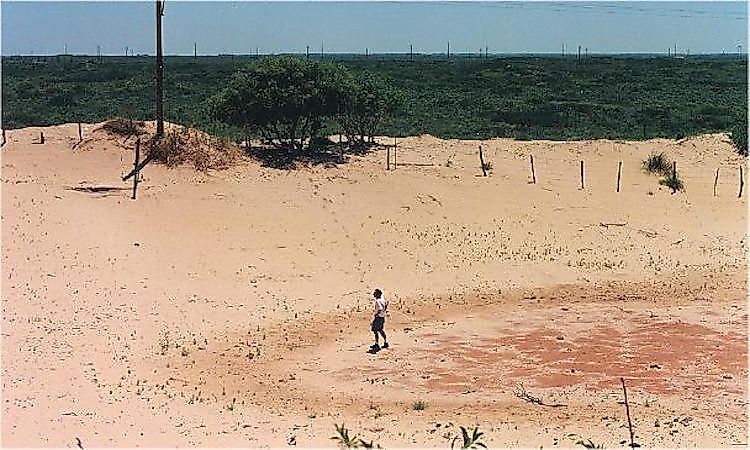 Blowout located 6.5 km south of Earth, Texas