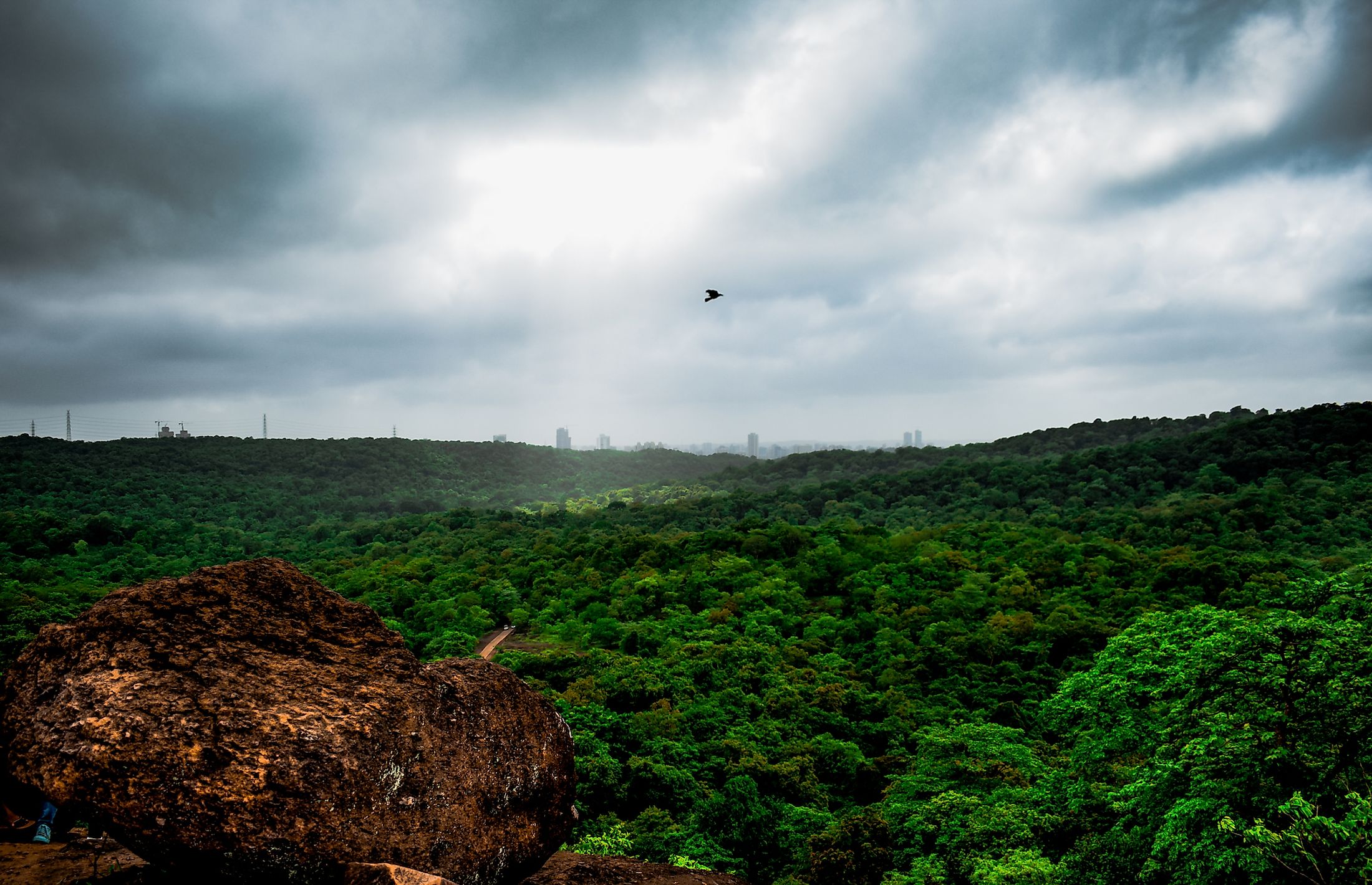 Sanjay Gandhi National Park