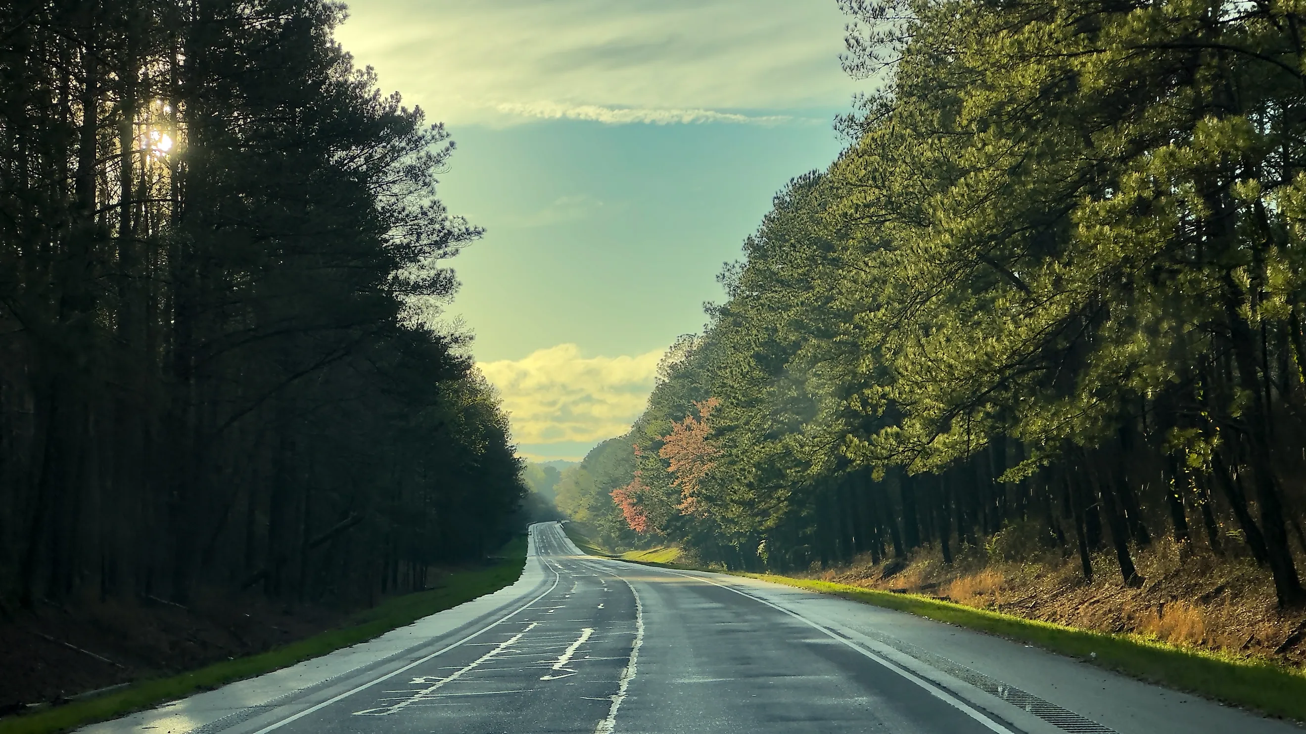 Tuskegee National Forest in Alabama