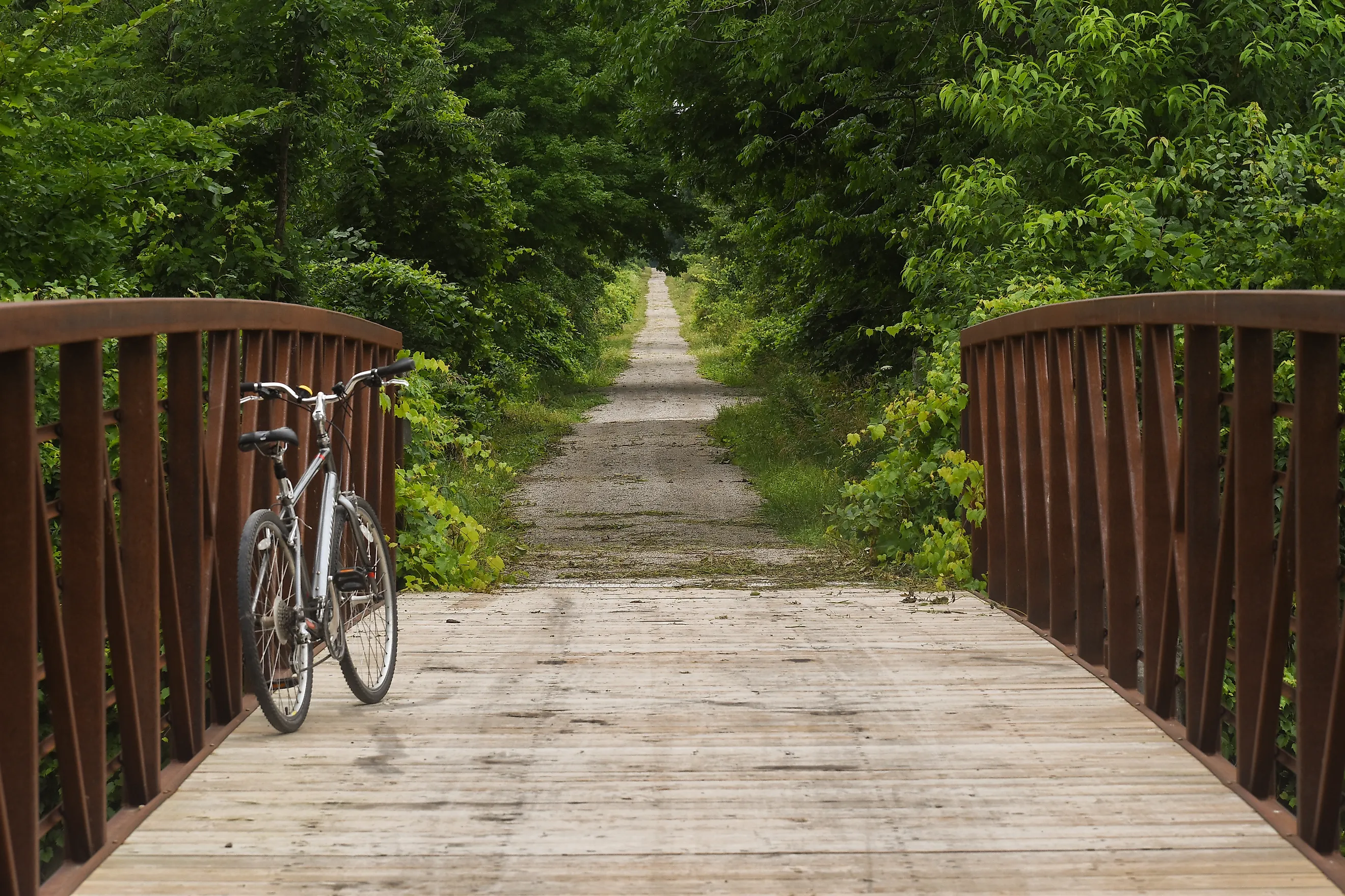 Rail Trail in Southern Ontario