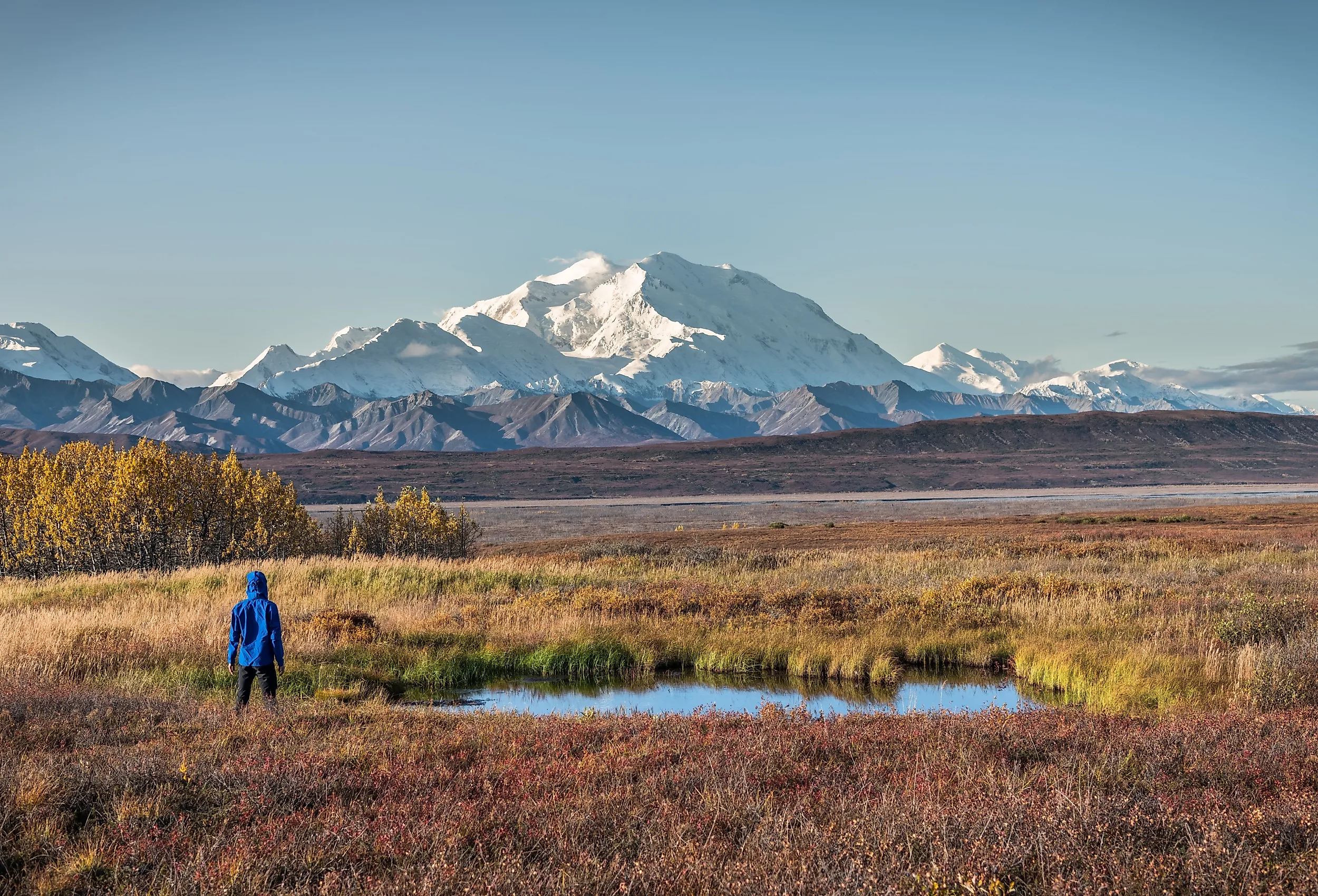 Hiking in Denali National Park, Alaska