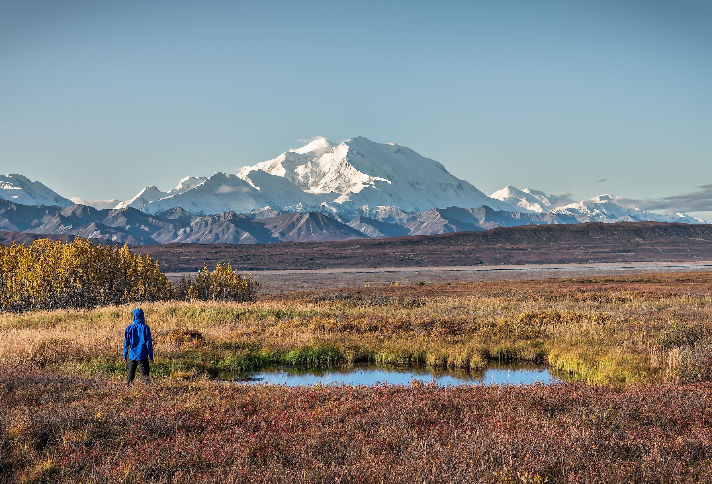 Hiking in Denali National Park, Alaska, USA