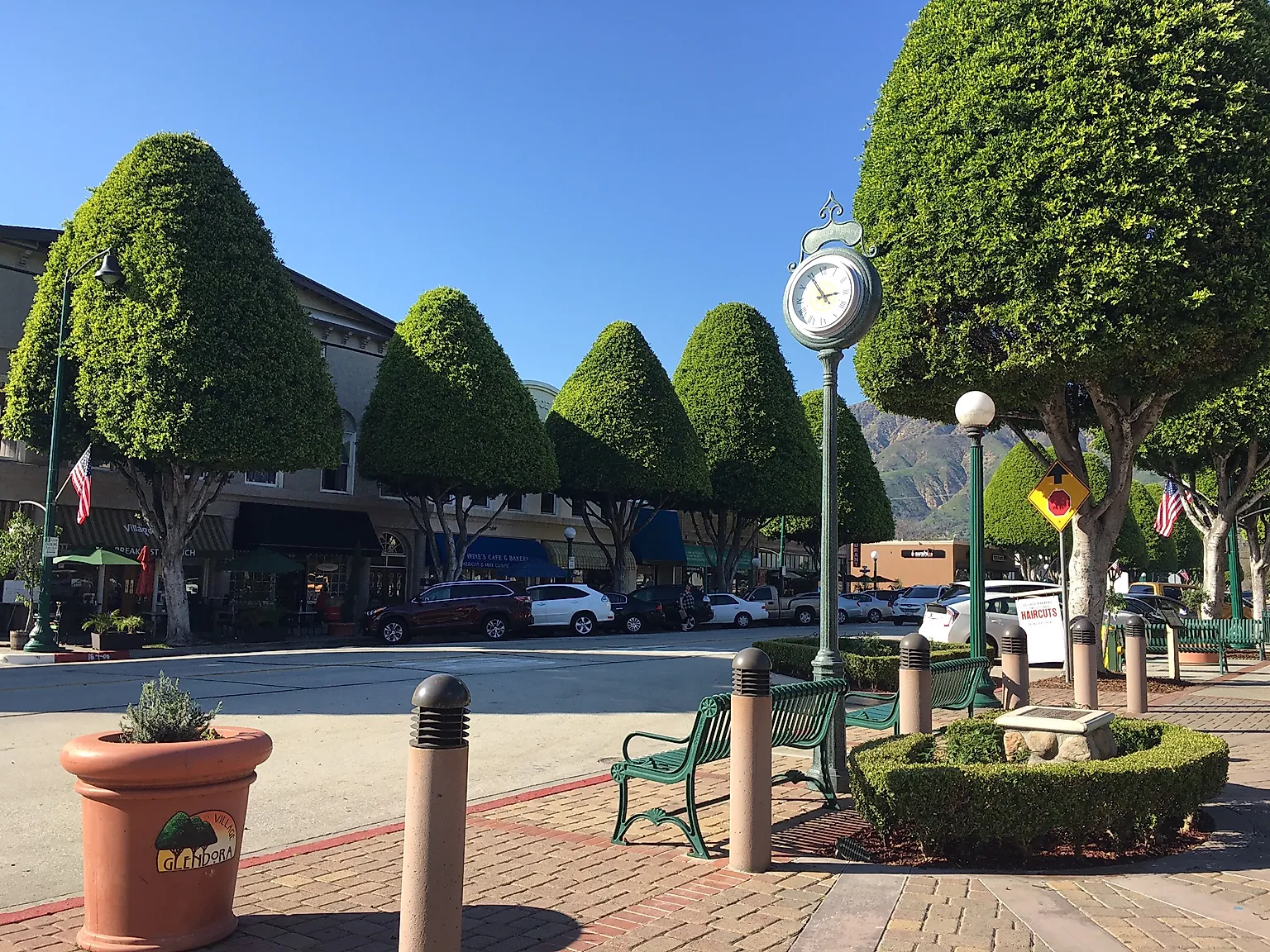 Glendora Village with Ficus trees, By Jaymanuel at English Wikipedia, CC BY-SA 4.0, https://commons.wikimedia.org/w/index.php?curid=61720607