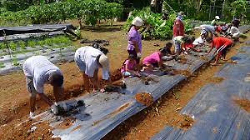 With an economy dependent upon small farming, foreign aid, tourism, and fishing, Palau sorely lacks economic legislation.