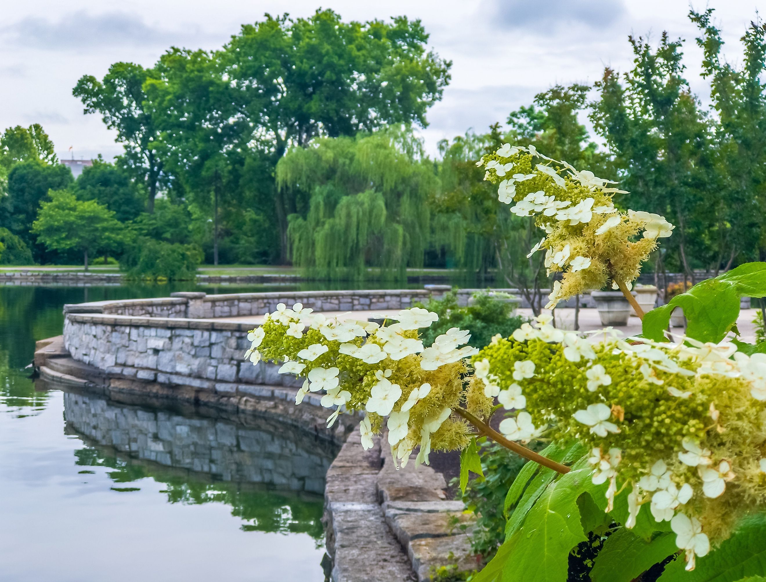 Nashville's Centennial Park.